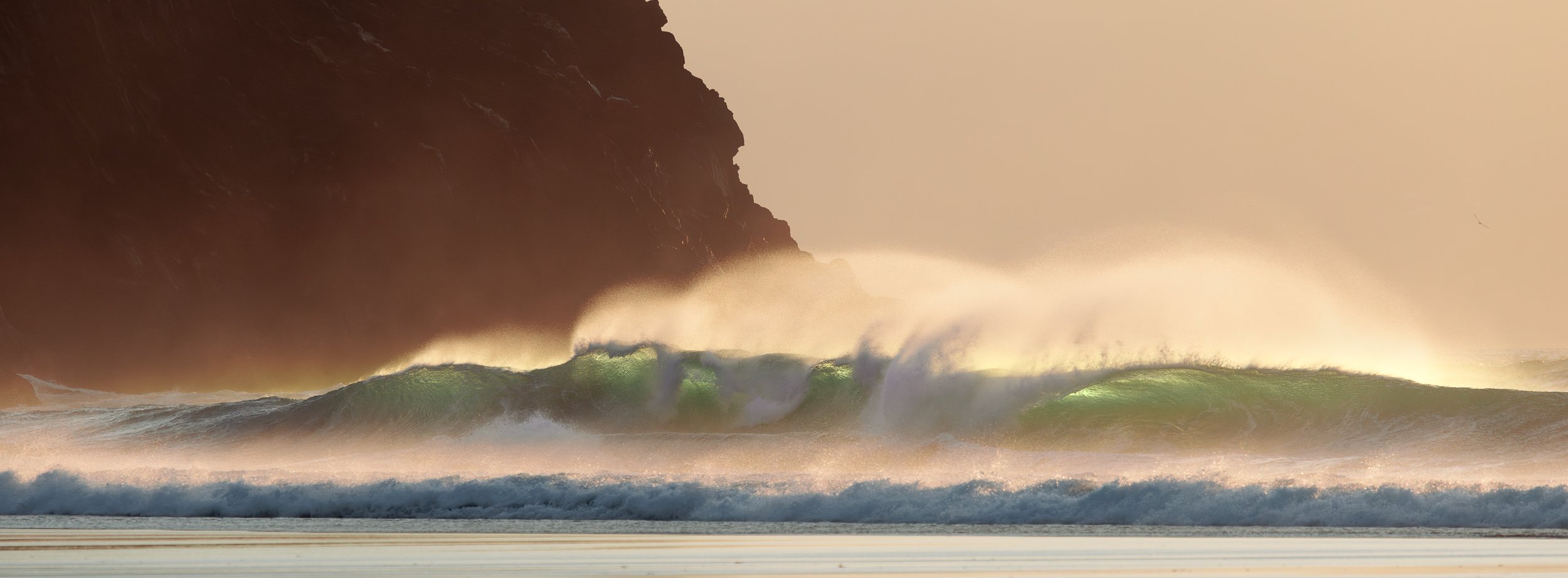 _U9A8210-Avec accentuation-Bruit.jpg