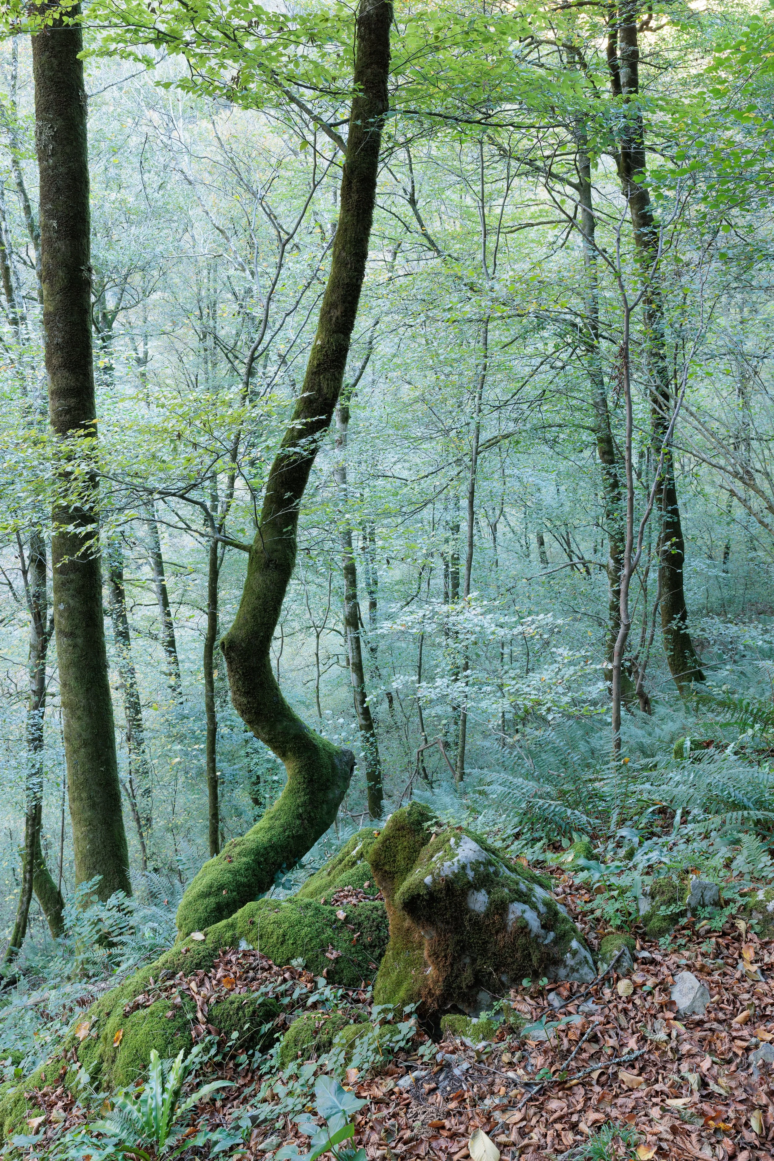 Bidouze-04112025-02.jpg