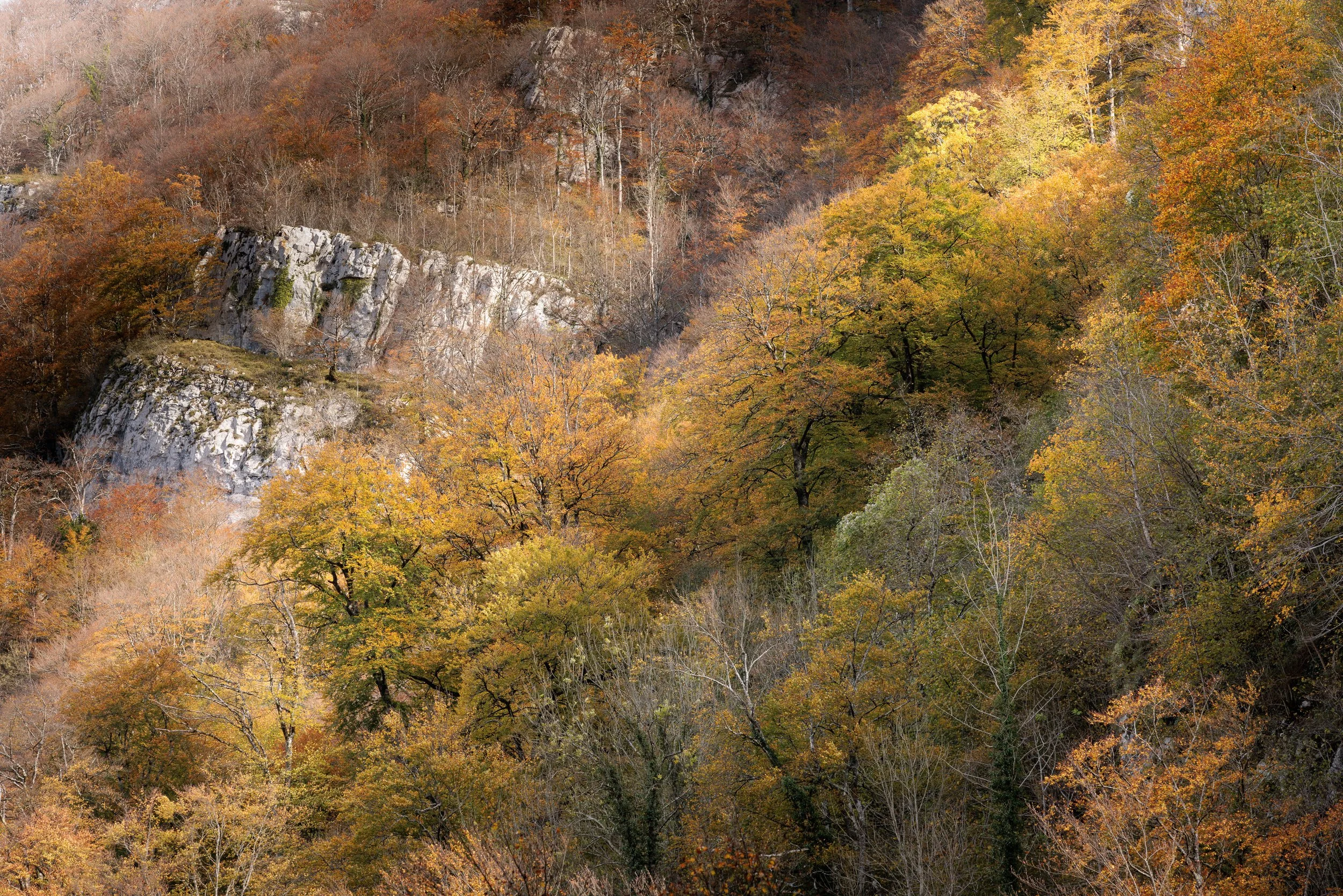 Bidouze-04112025-04.jpg