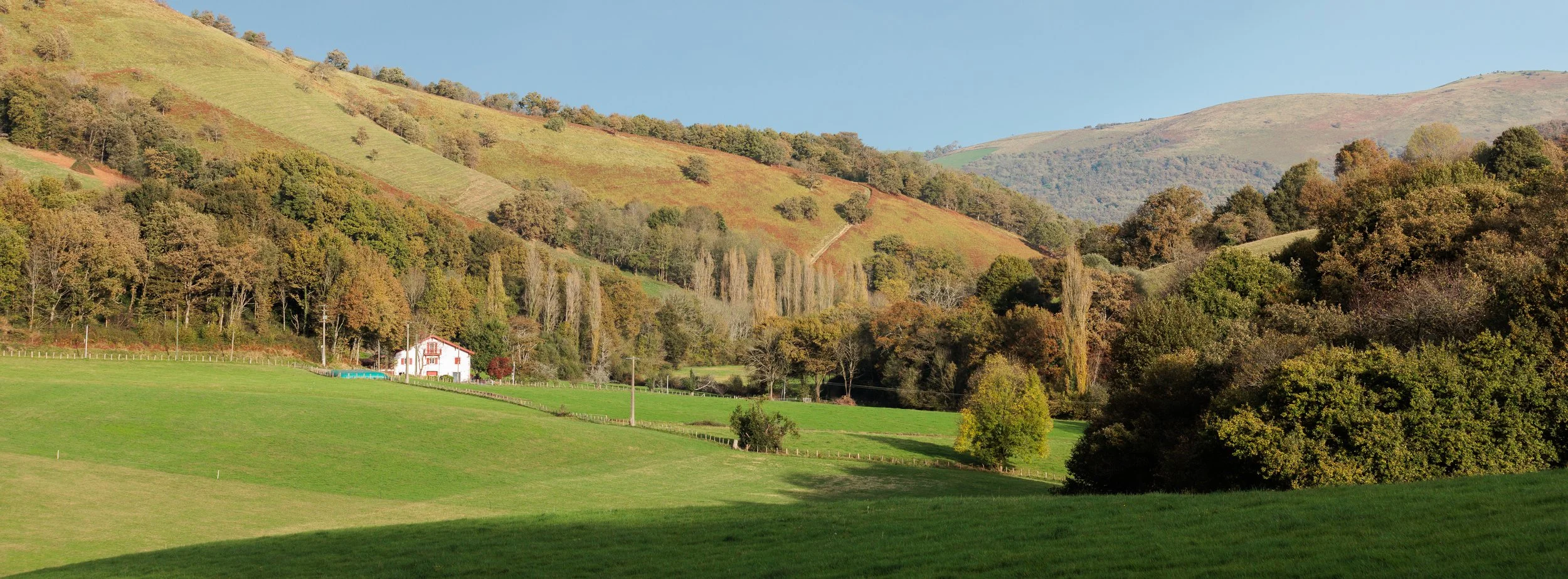Gamaia-05112025-09.jpg