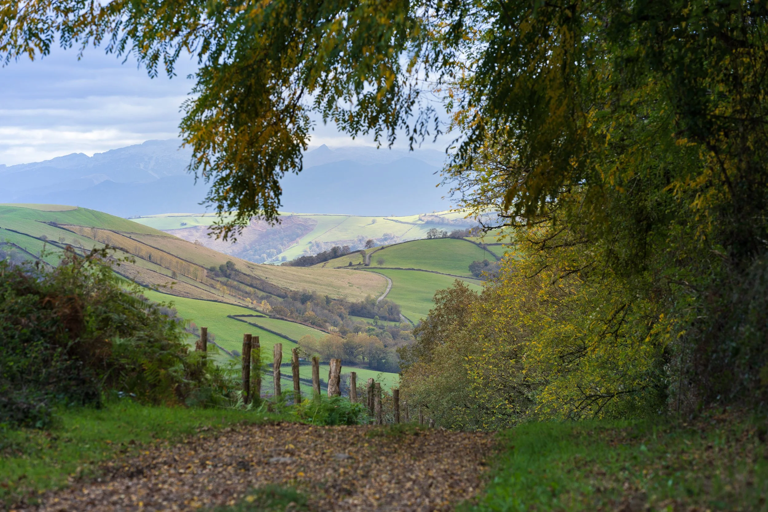 Ostabat-06112025-12.jpg