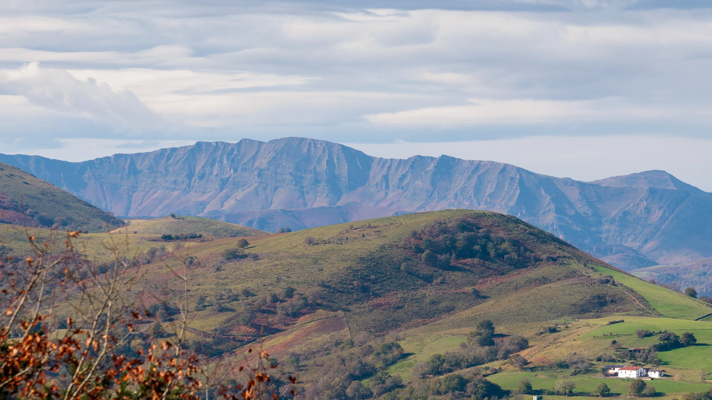 Ostabat-06112025-09.jpg