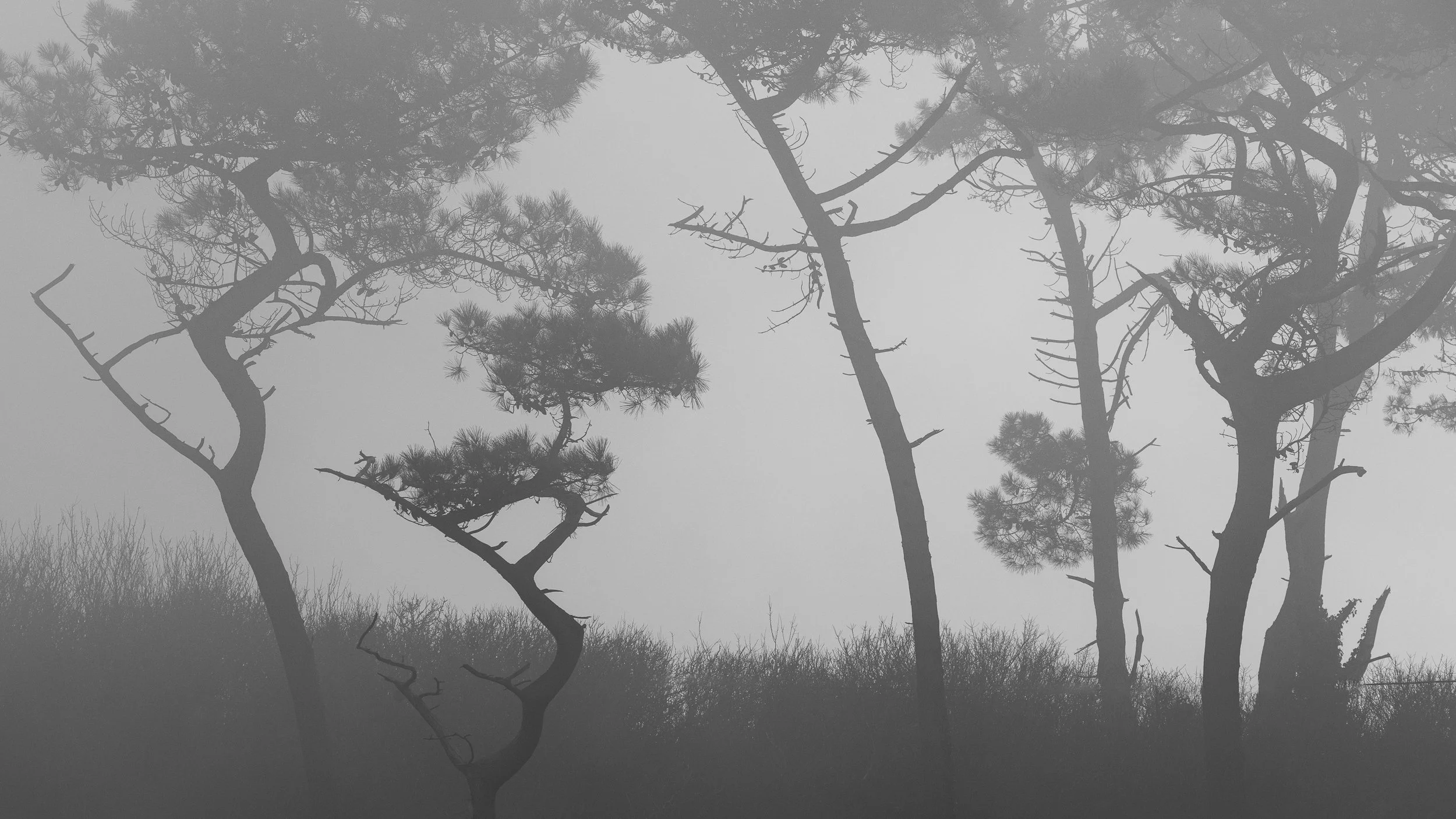 _U9A4670.jpg