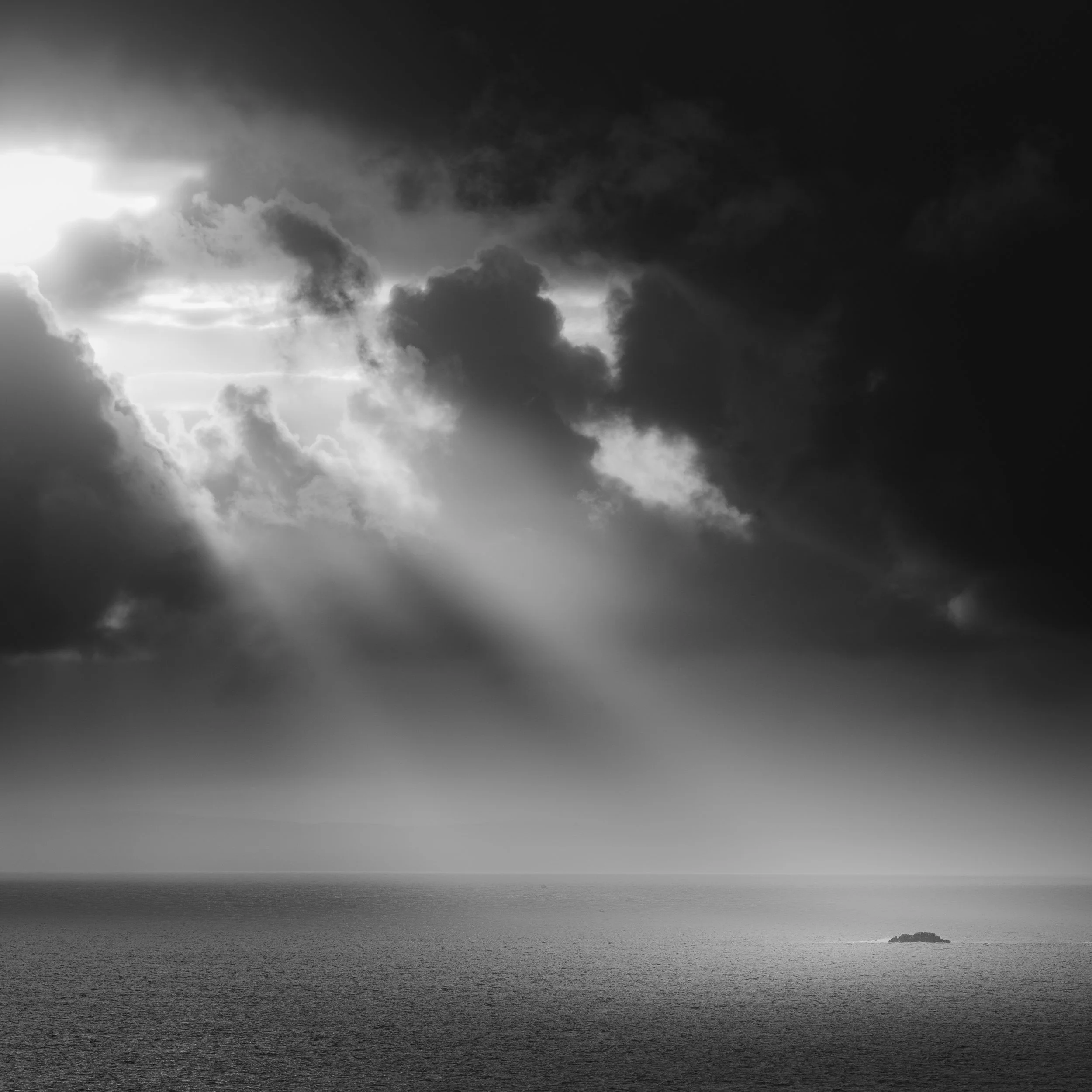 _U9A4238-Avec accentuation-Bruit.jpg