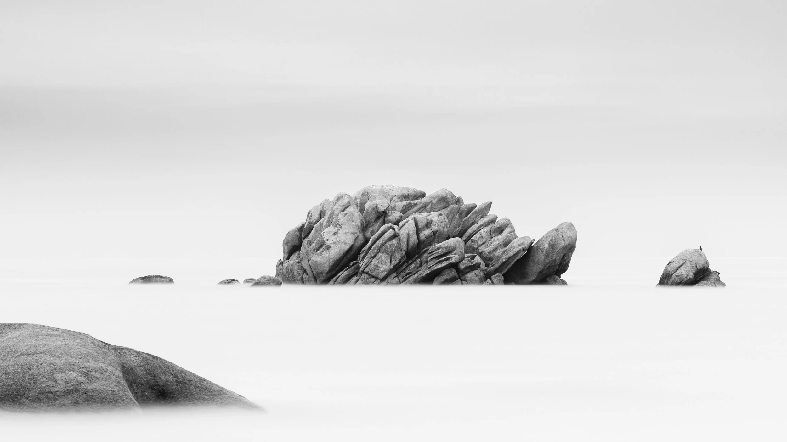 _U9A4683.jpg