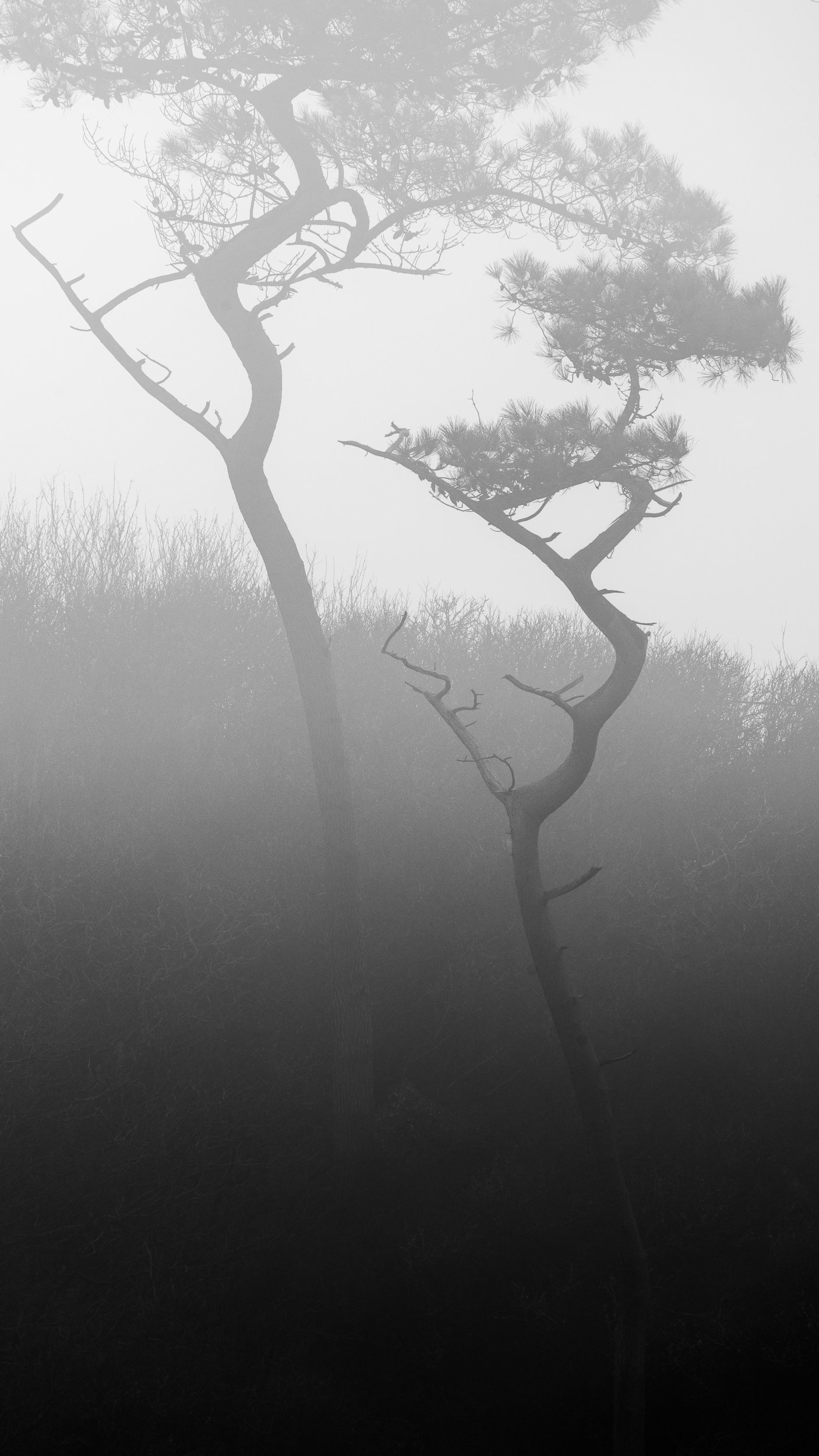 _U9A4672.jpg