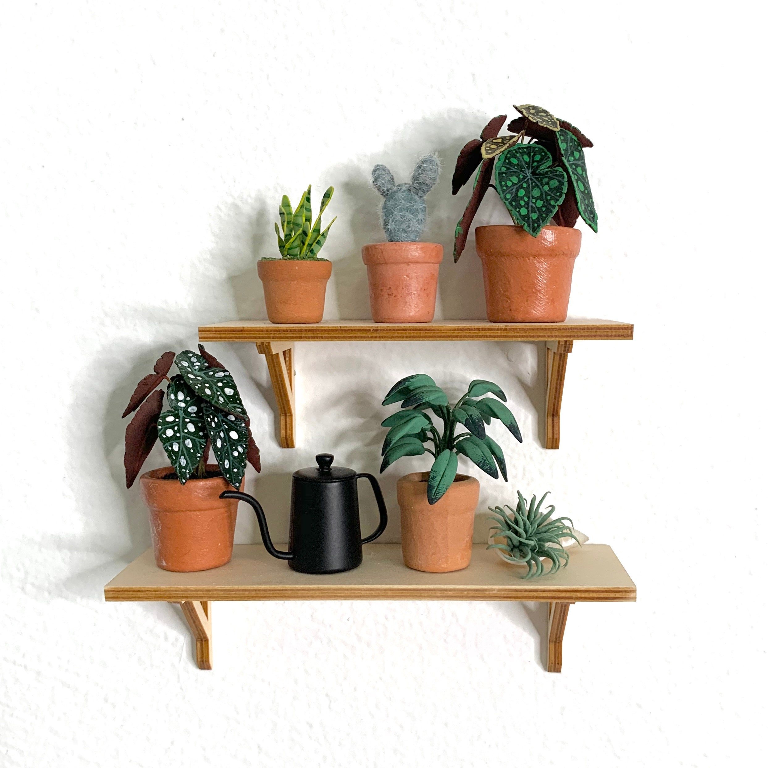 https://i.etsystatic.com/5458500/r/il/fd74d4/3375343216/il_fullxfull.3375343216_nfmf.jpg