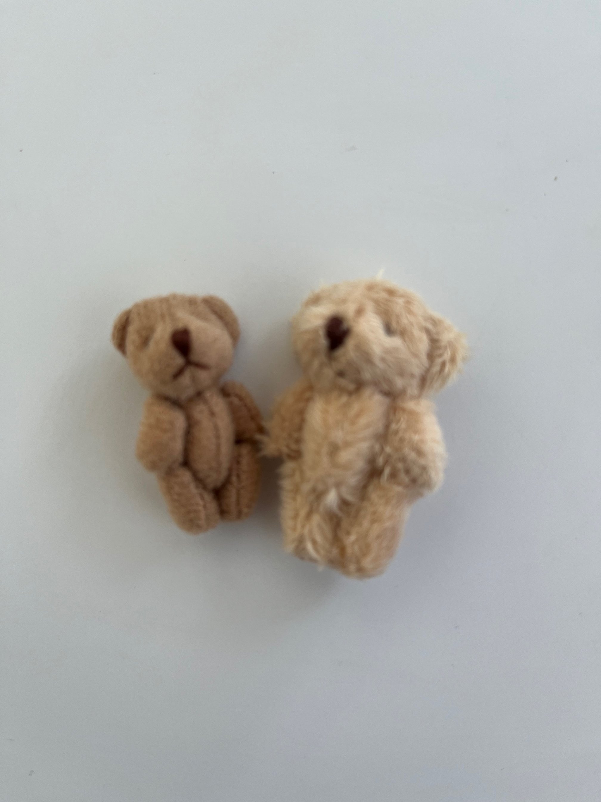 image1.jpeg