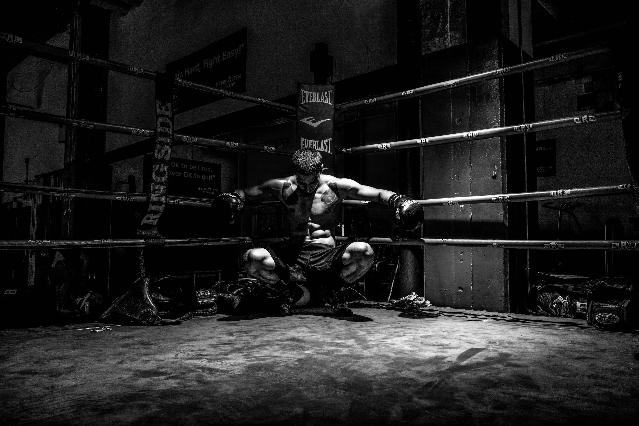 Boxerbw-1.jpg