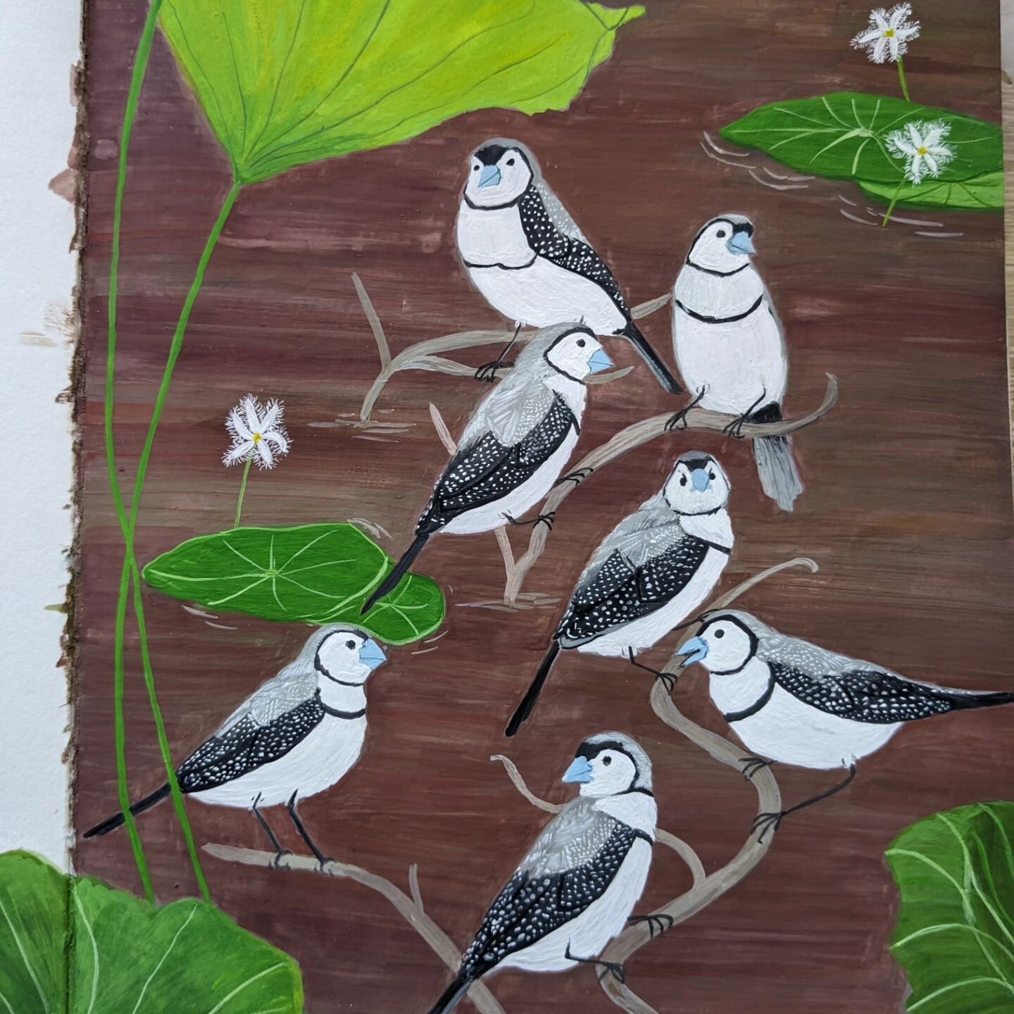 D - Double-barred Finches! Week 4 of the #alphabetsuperset is also done. We saw tons of these cute finches along the way while camping and while I painted a few different finches earlier this year, I seem to have forgotten about these ones! So glad t