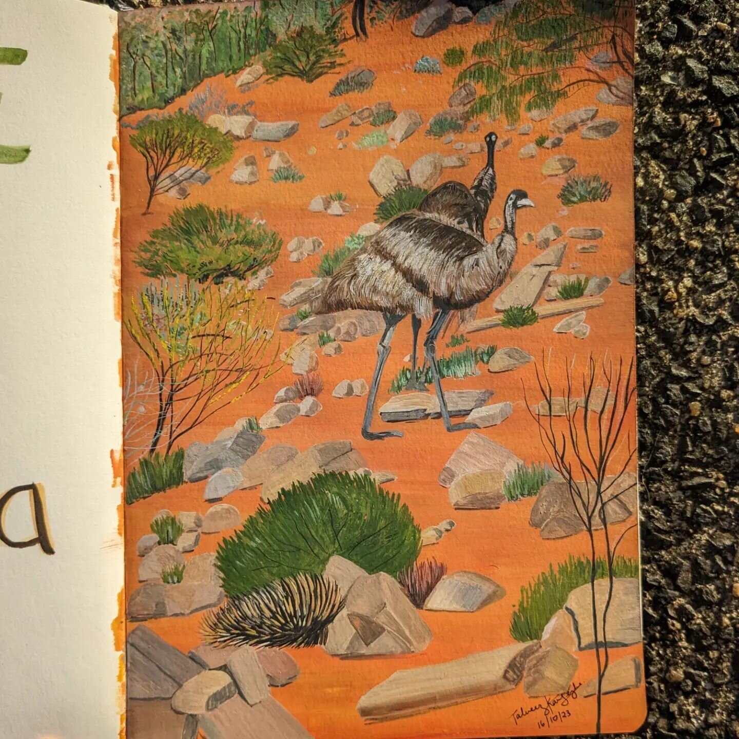 E - Emus and an Echidna! Week 5 of the #alphabetsuperset is done - a day late but done ☺️. We saw both of these cool creatures in the Mount Remarkable National Park (SA) back in June/July 2021, and while I'd done a quick sketch in my nature journal a