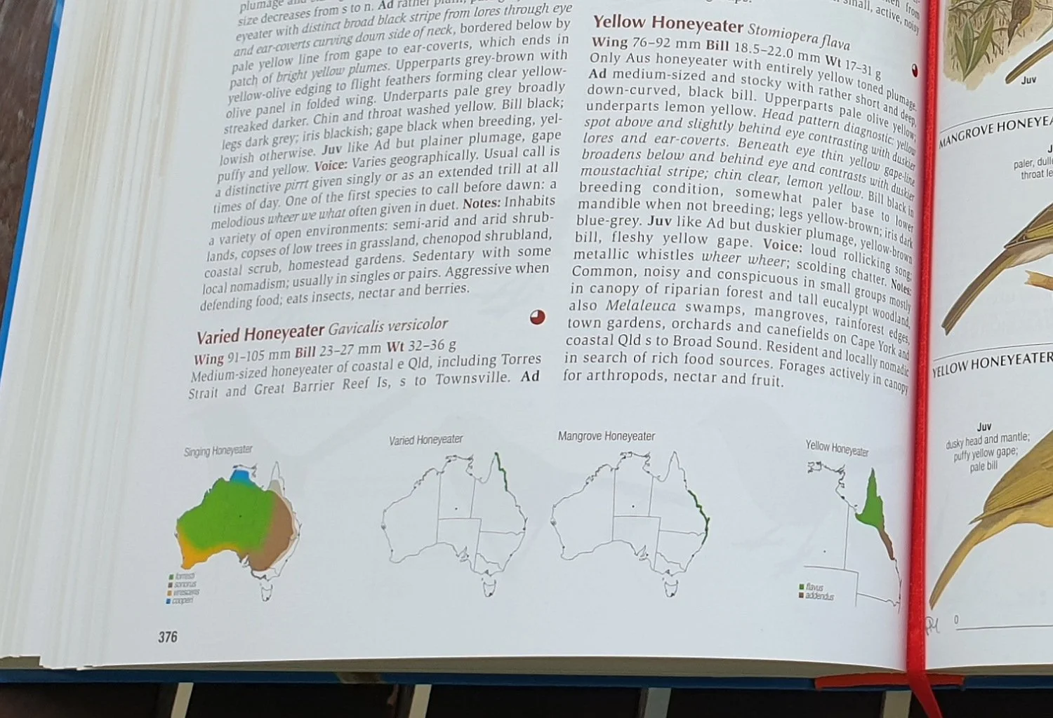 The Australian Bird Guide - a Review — of Travels and Trails