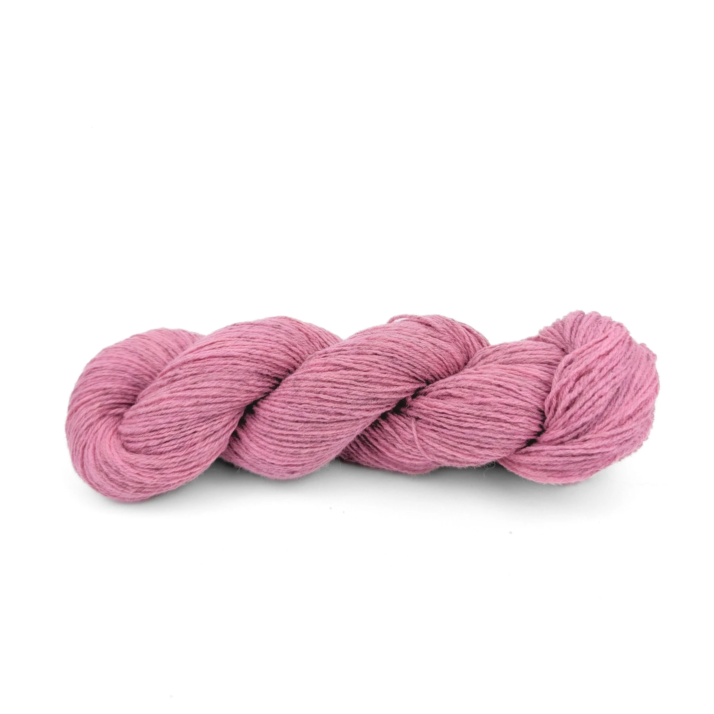 trino+Ko%CC%88ln+24+fuchsia+light.jpg
