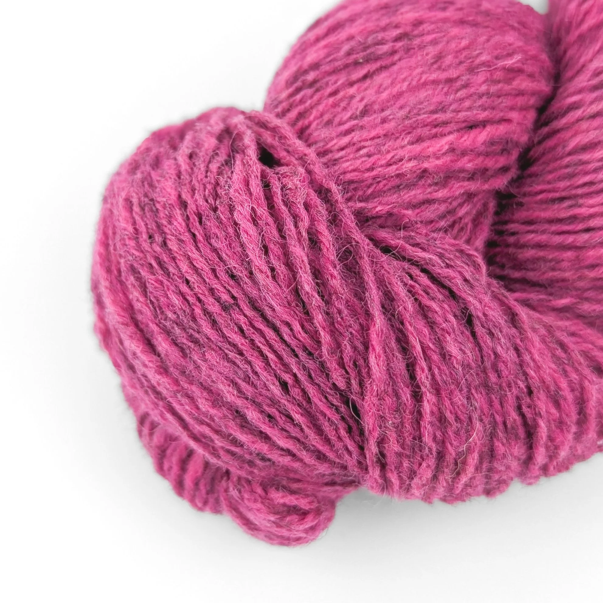 trino+Du%CC%88sseldorf+24+fuchsia+PORTRAIT.jpg