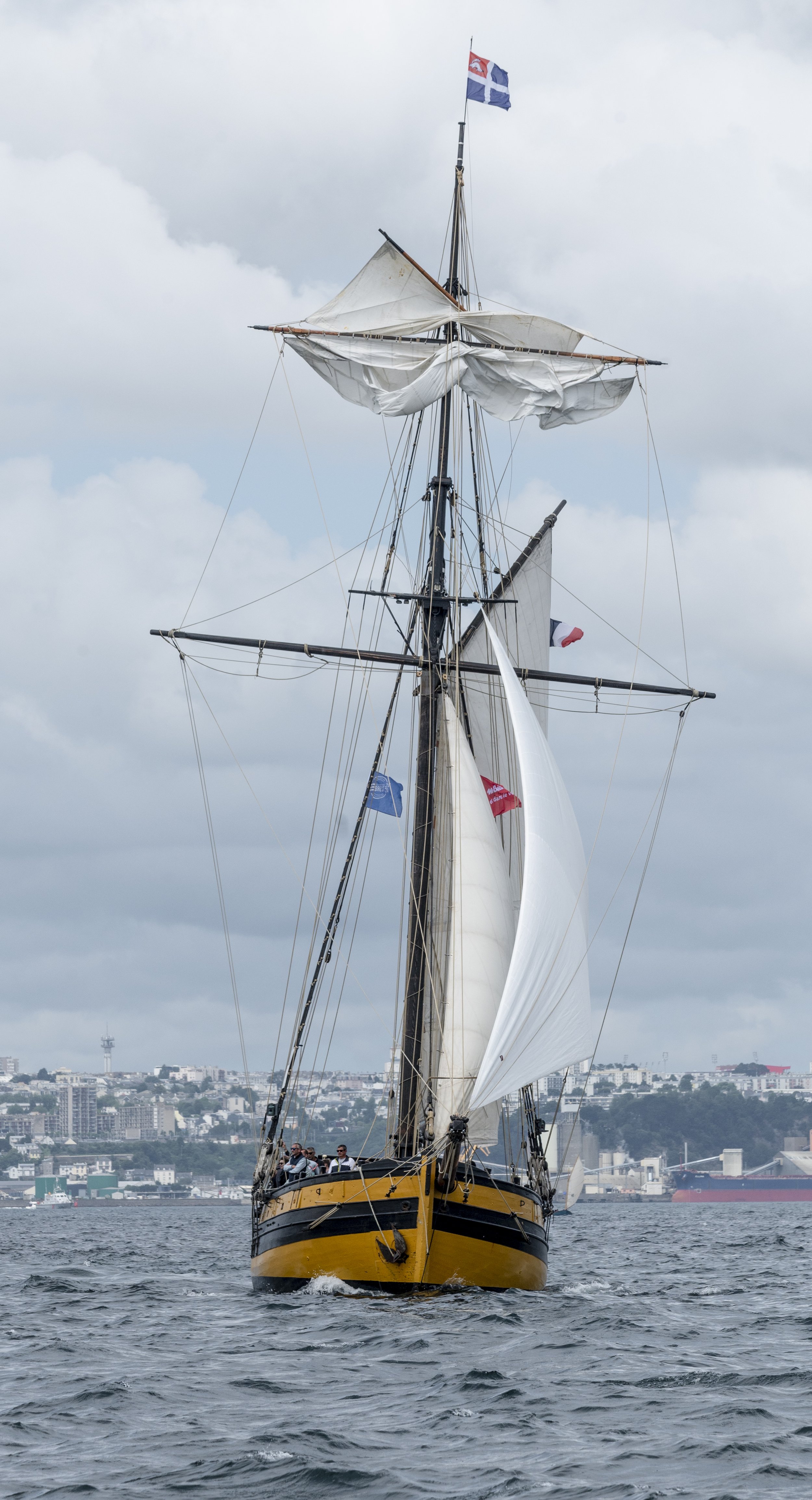 DSC_1953.jpg