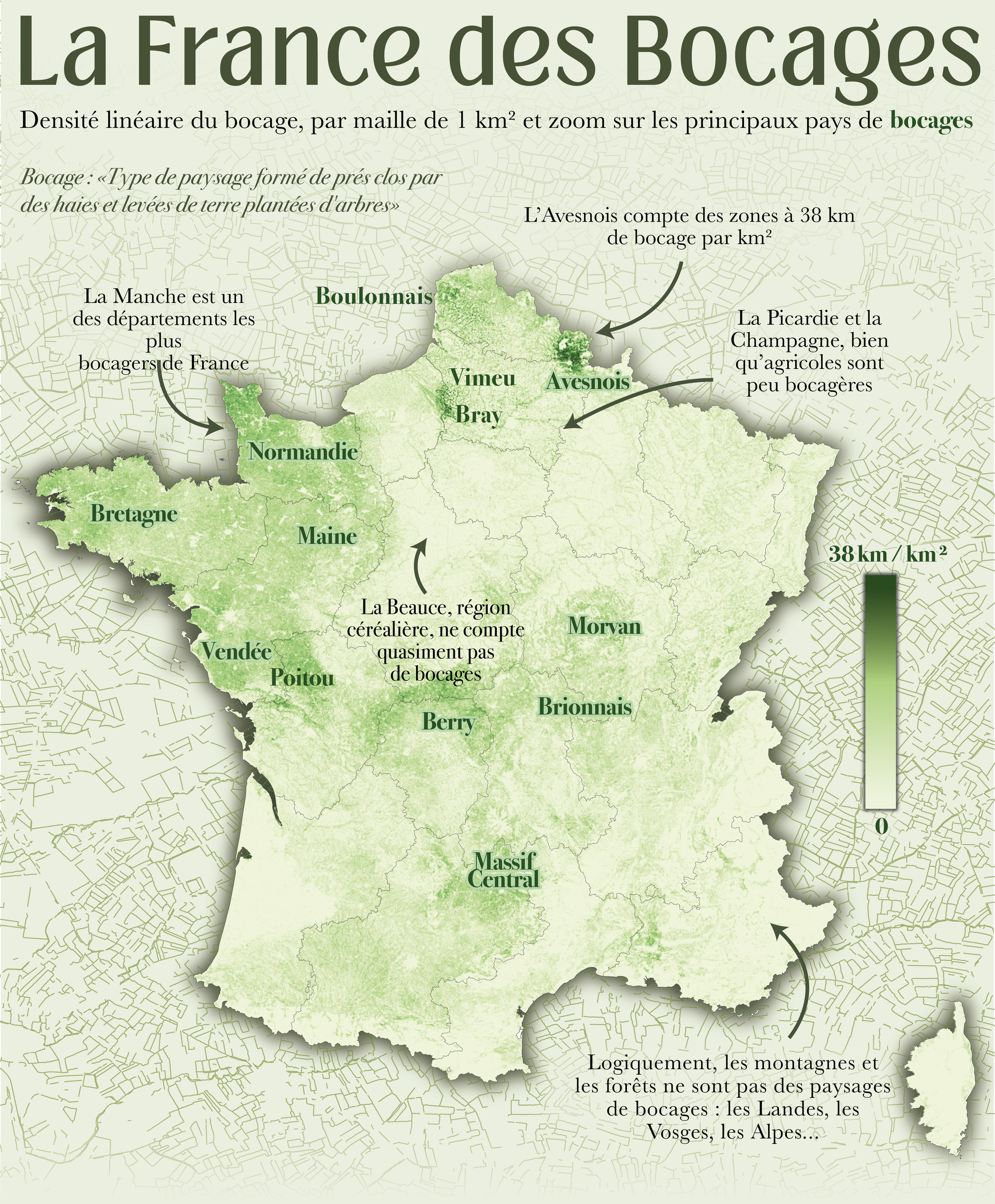 BOCAGE.png