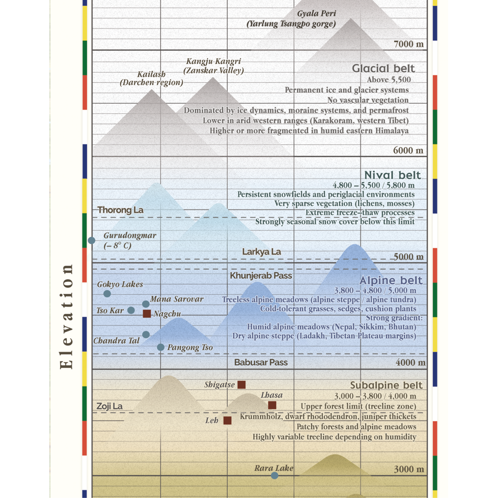 Sans titre - 2_Plan de travail 1.png