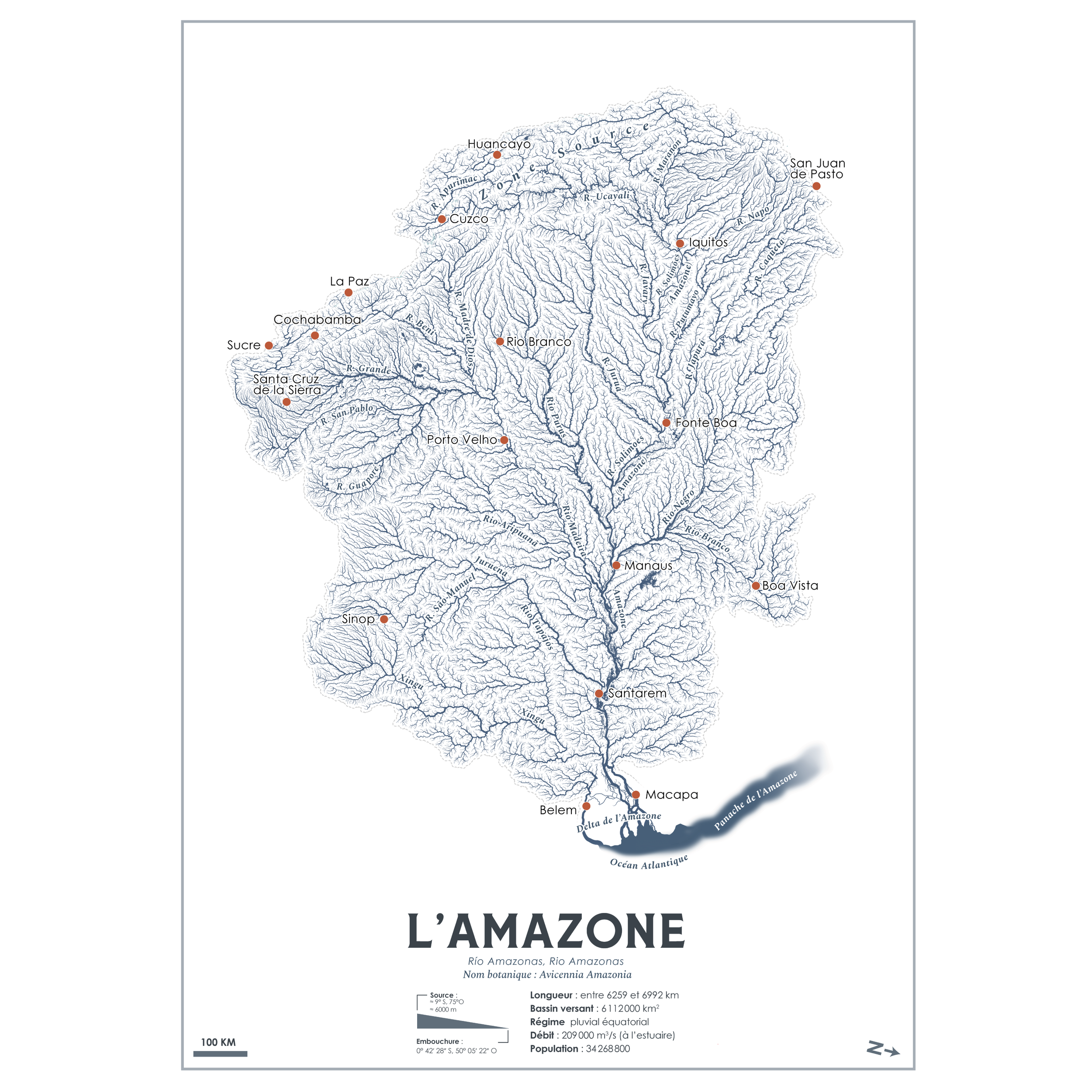 Rivières Arborescentes - L'Amazone