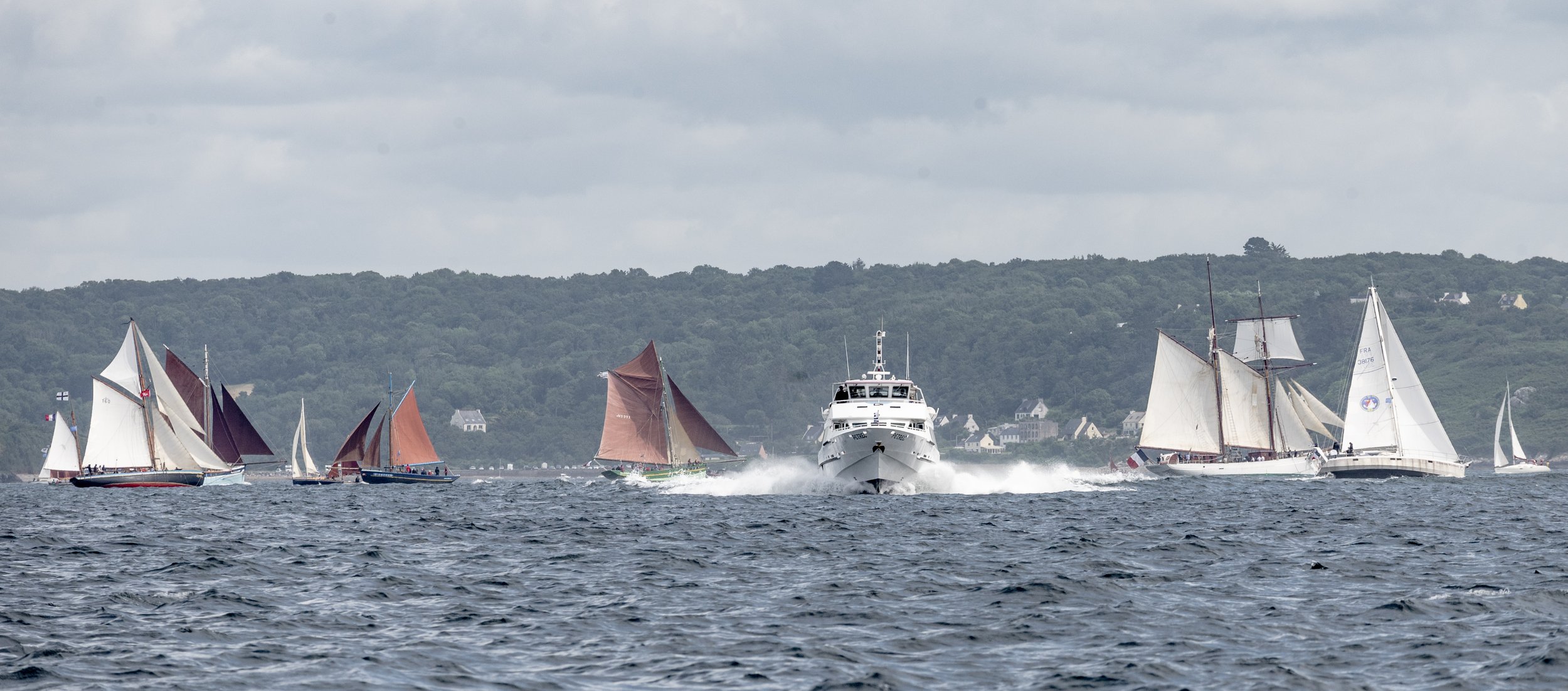 DSC_1907.jpg