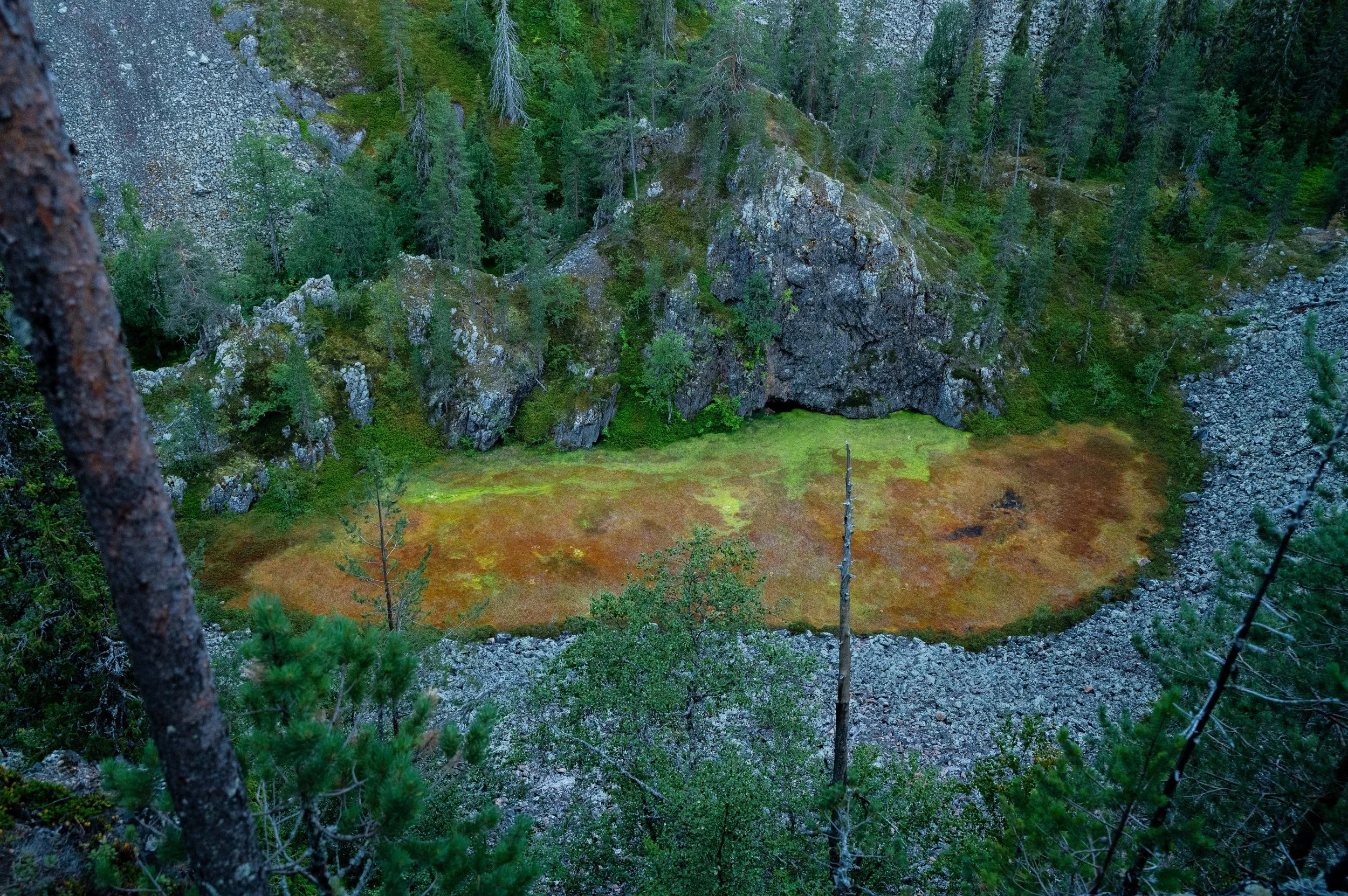 DSC_7293.jpg