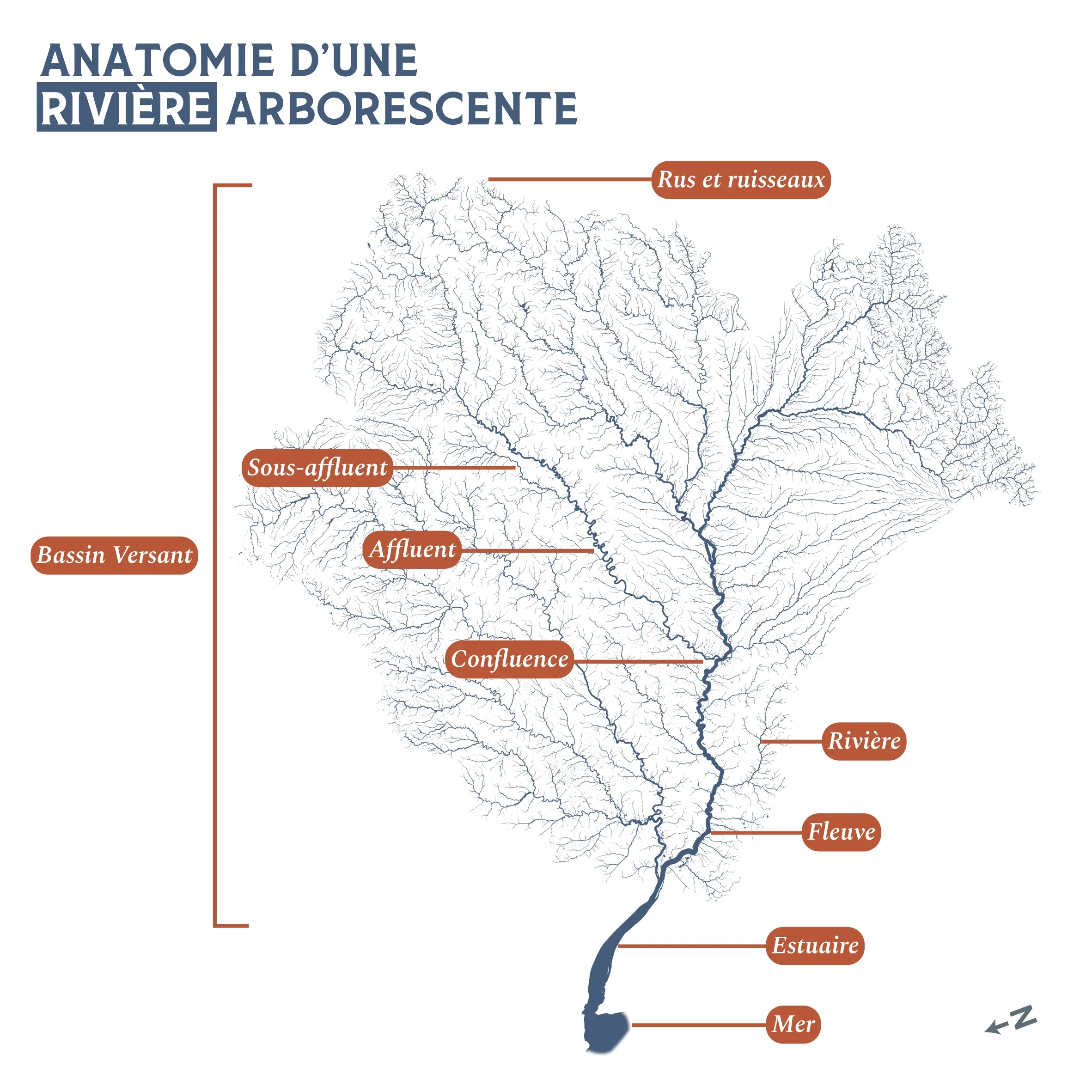 diag_Plan de travail 1.webp