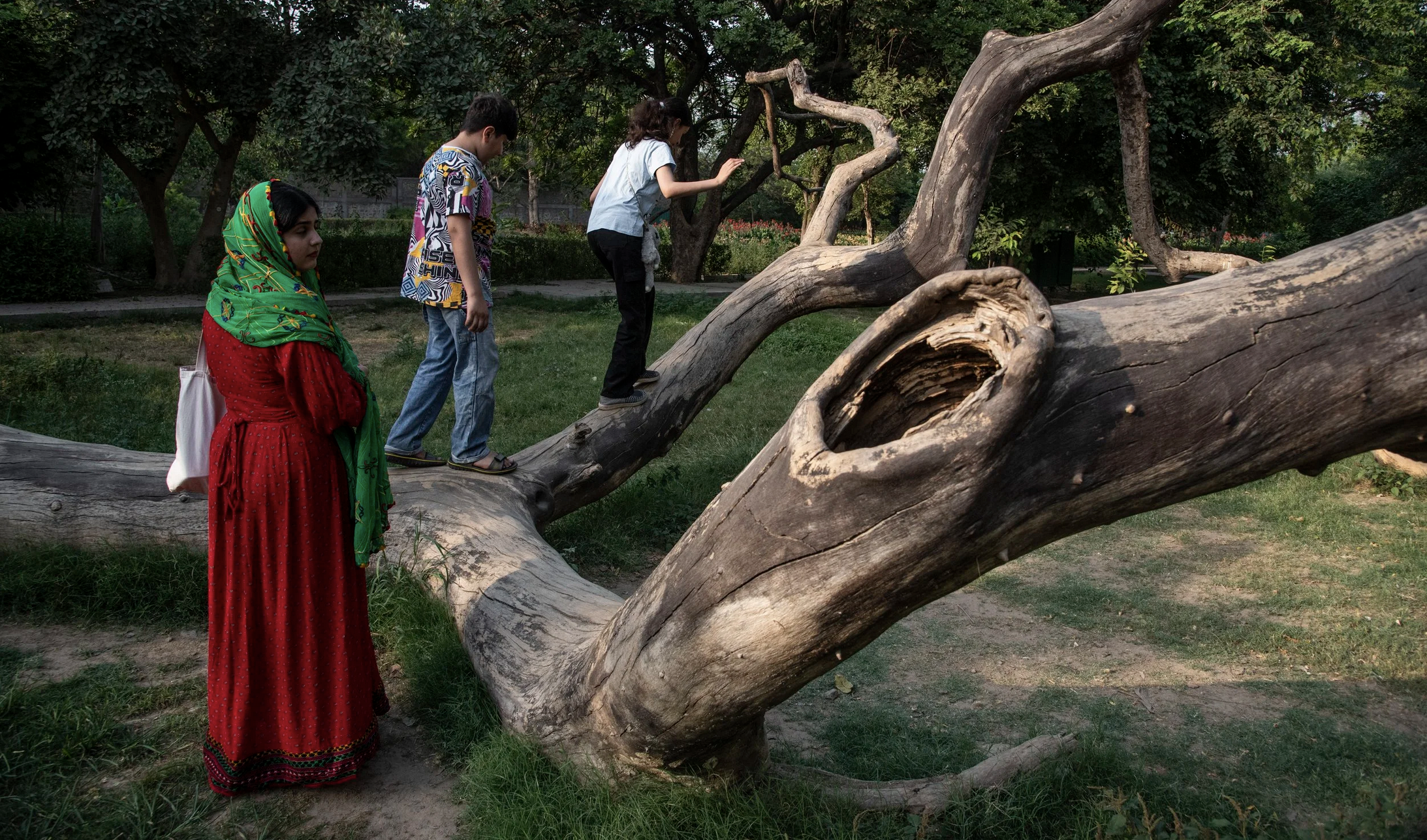 Capture d’écran 2026-02-18 à 20.00.01.png