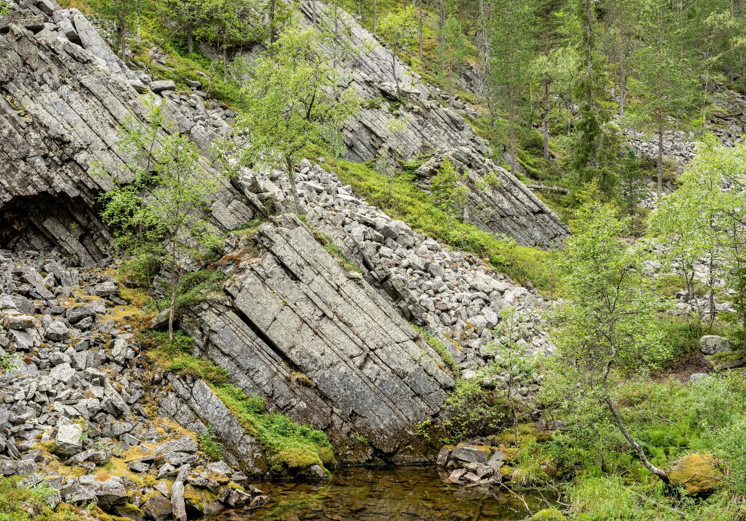 DSC_7047.jpg