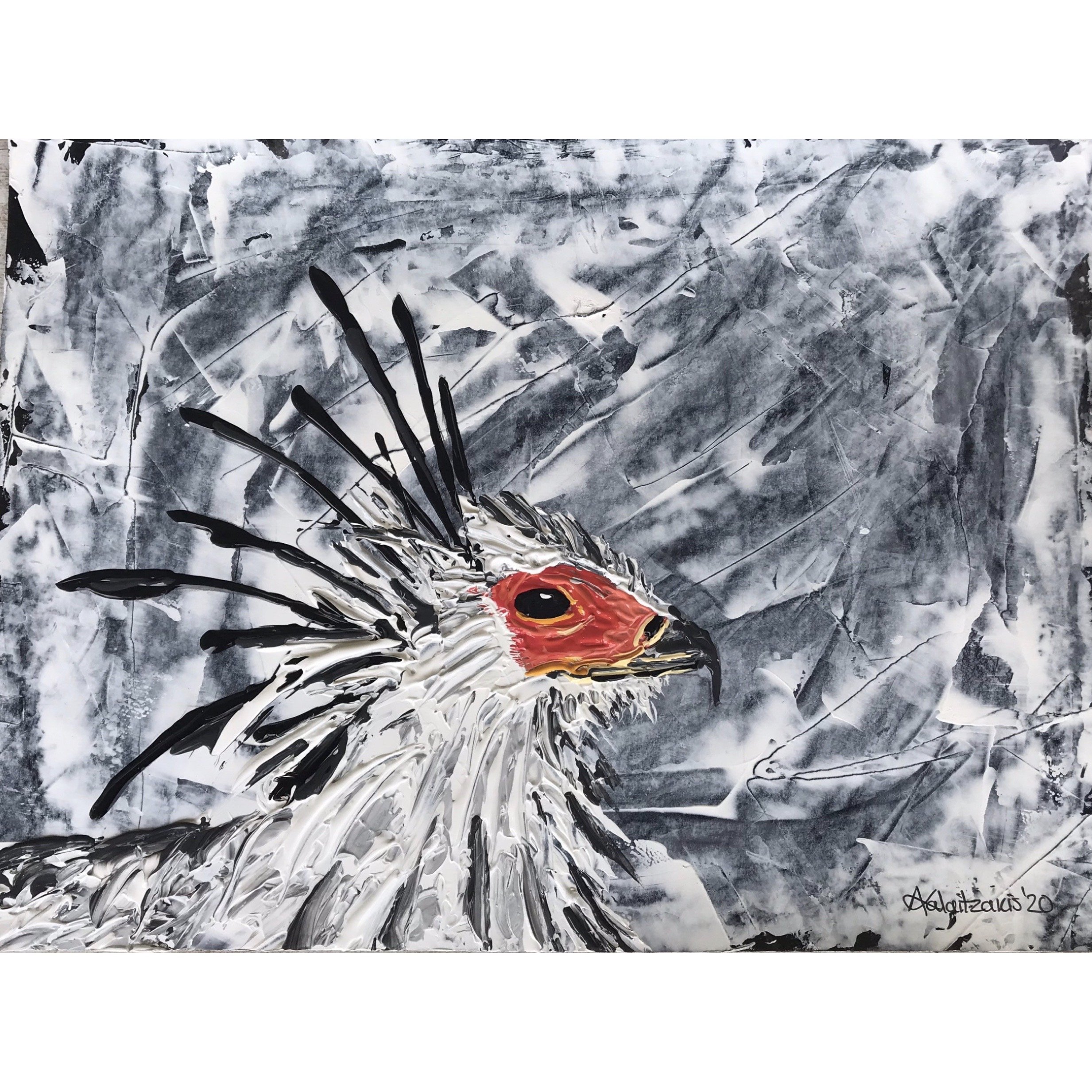 S4W009 Secretary Bird.jpg