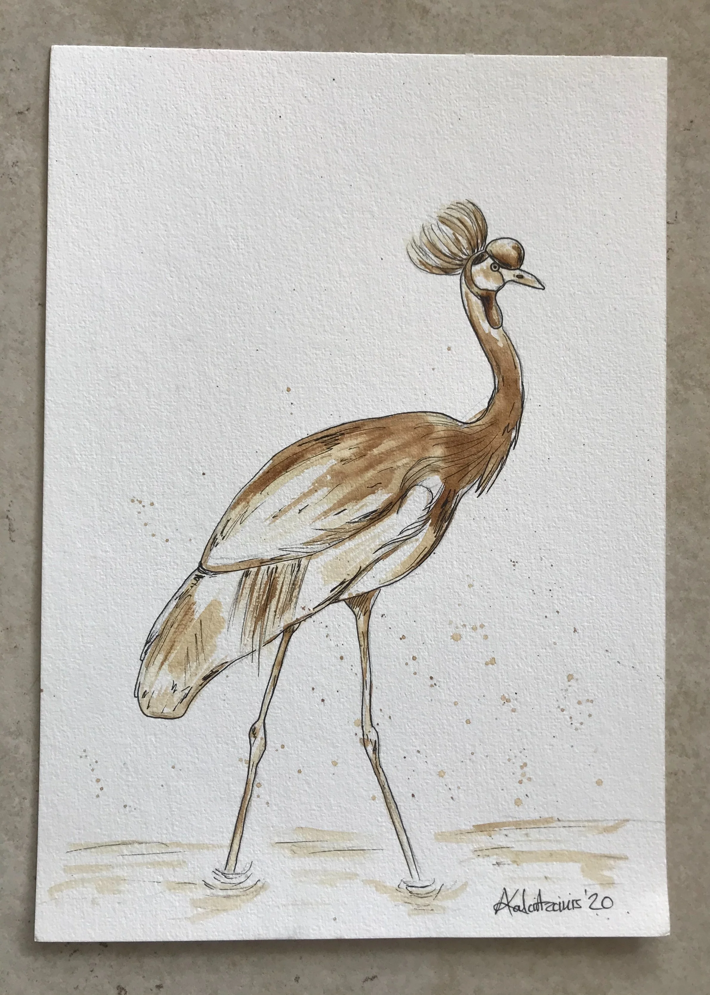 S4W018 Coffee Crane.jpg