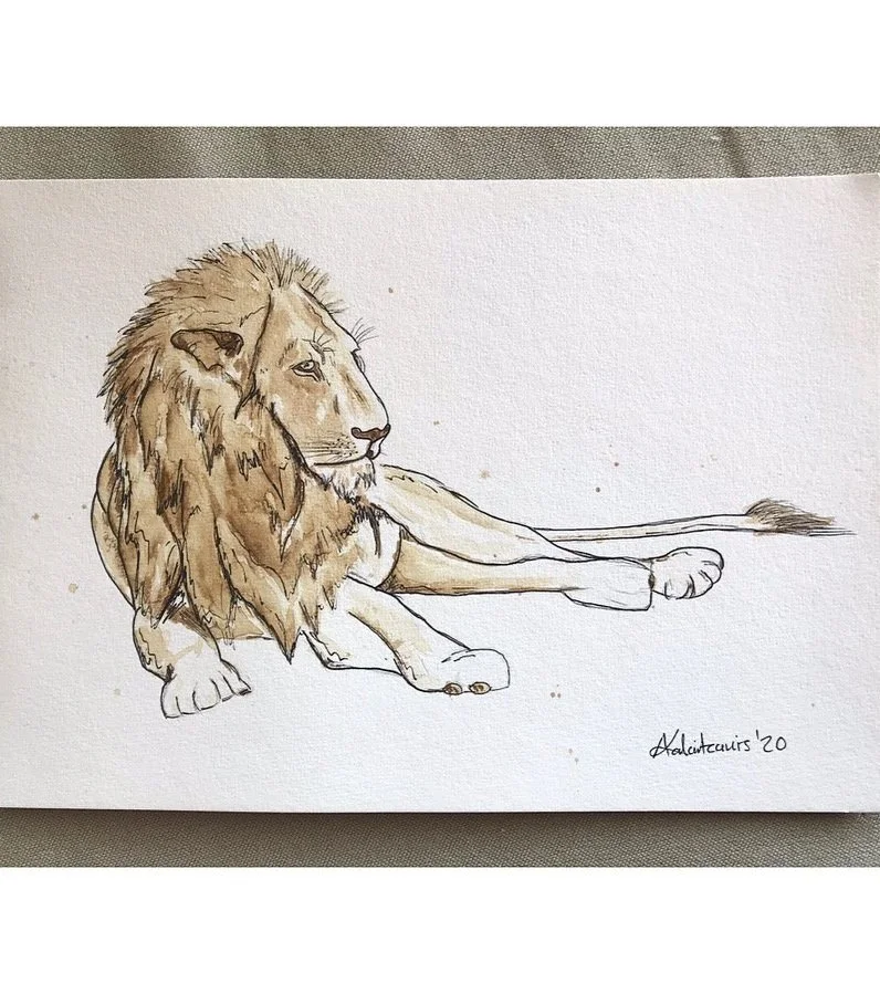 S4W016 Lion in Coffee.jpg