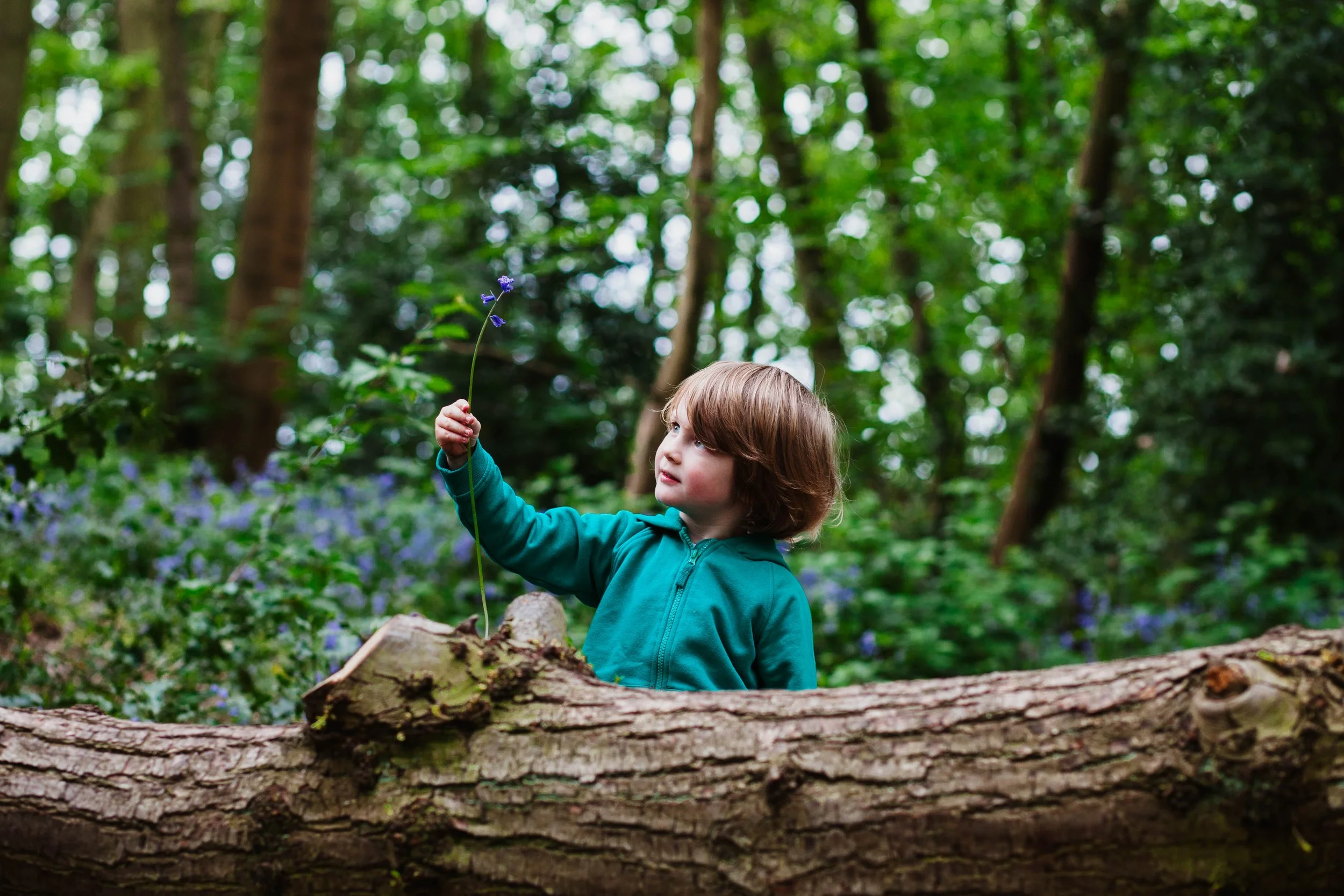 untitled (15 of 62).jpg