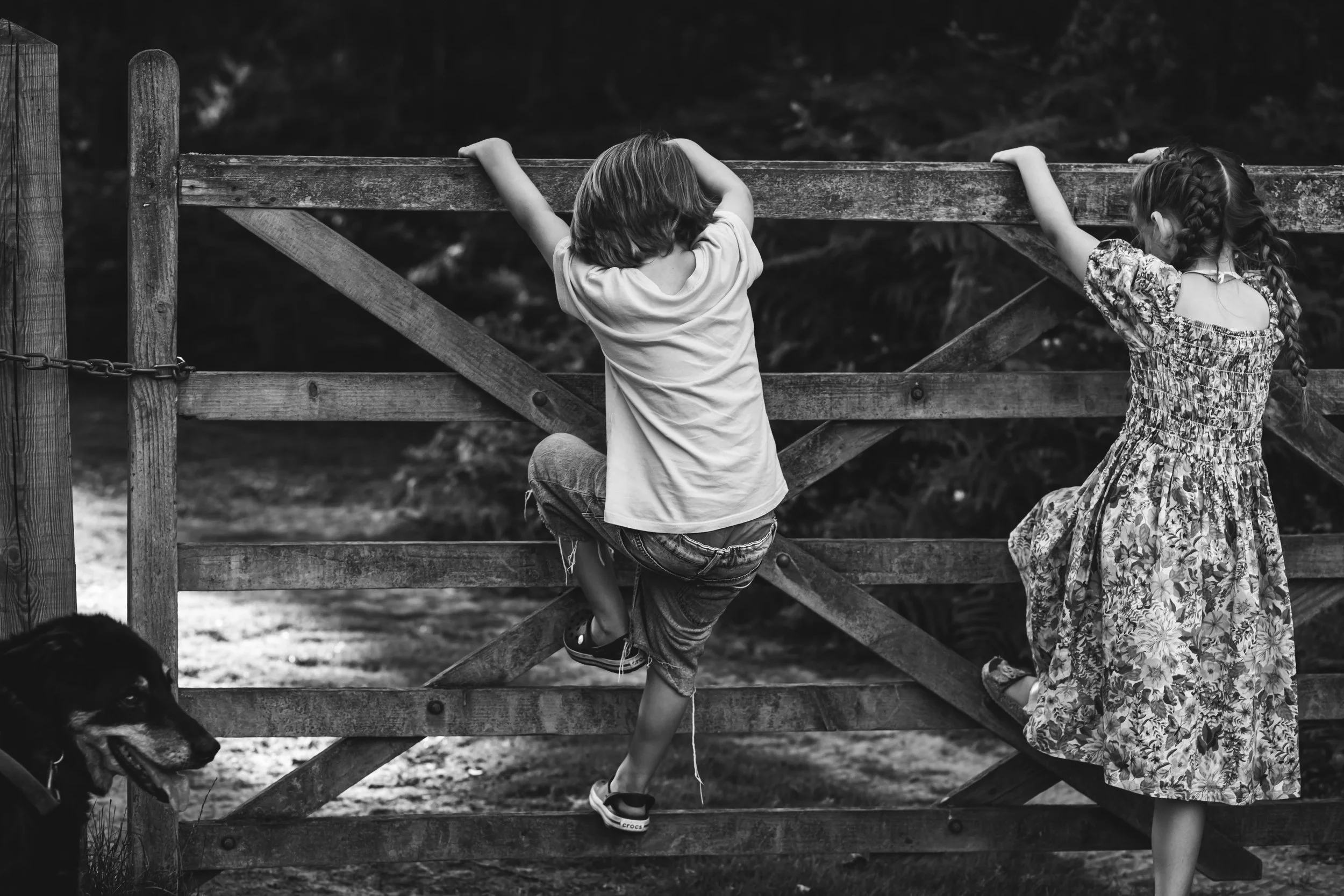 untitled (47 of 64).jpg