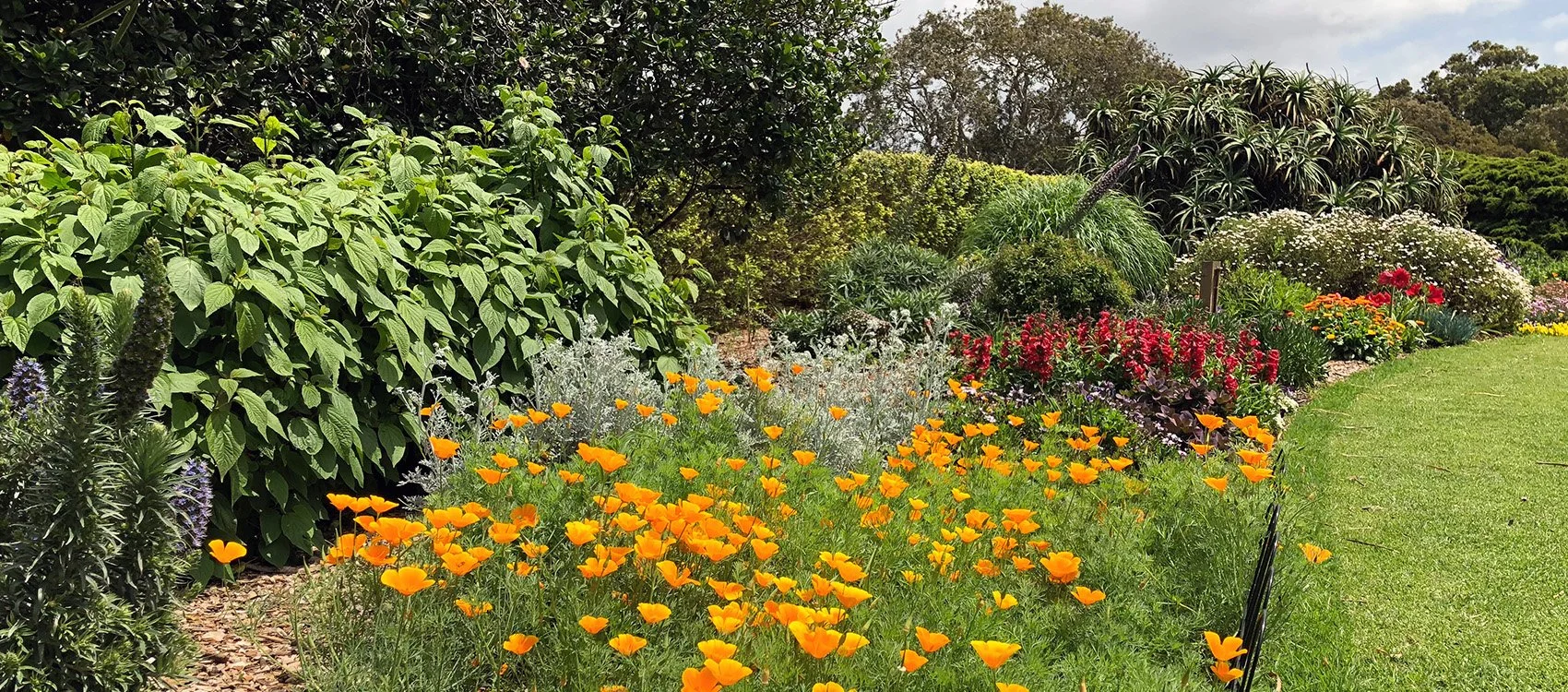 Fall Equinox Plant Walk
