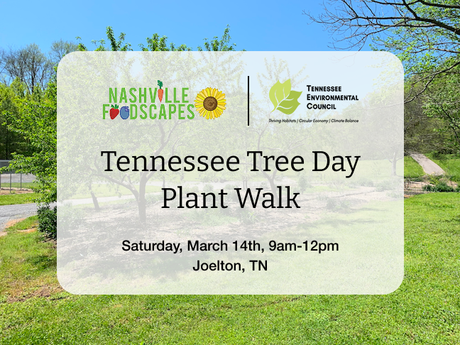 Tennessee Tree Day Plant Walk