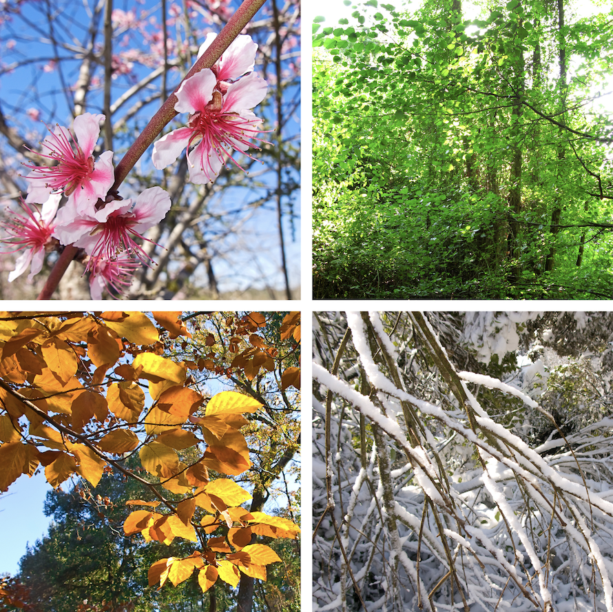 Screenshot 2025-12-11 at 10.14.33 AM.png