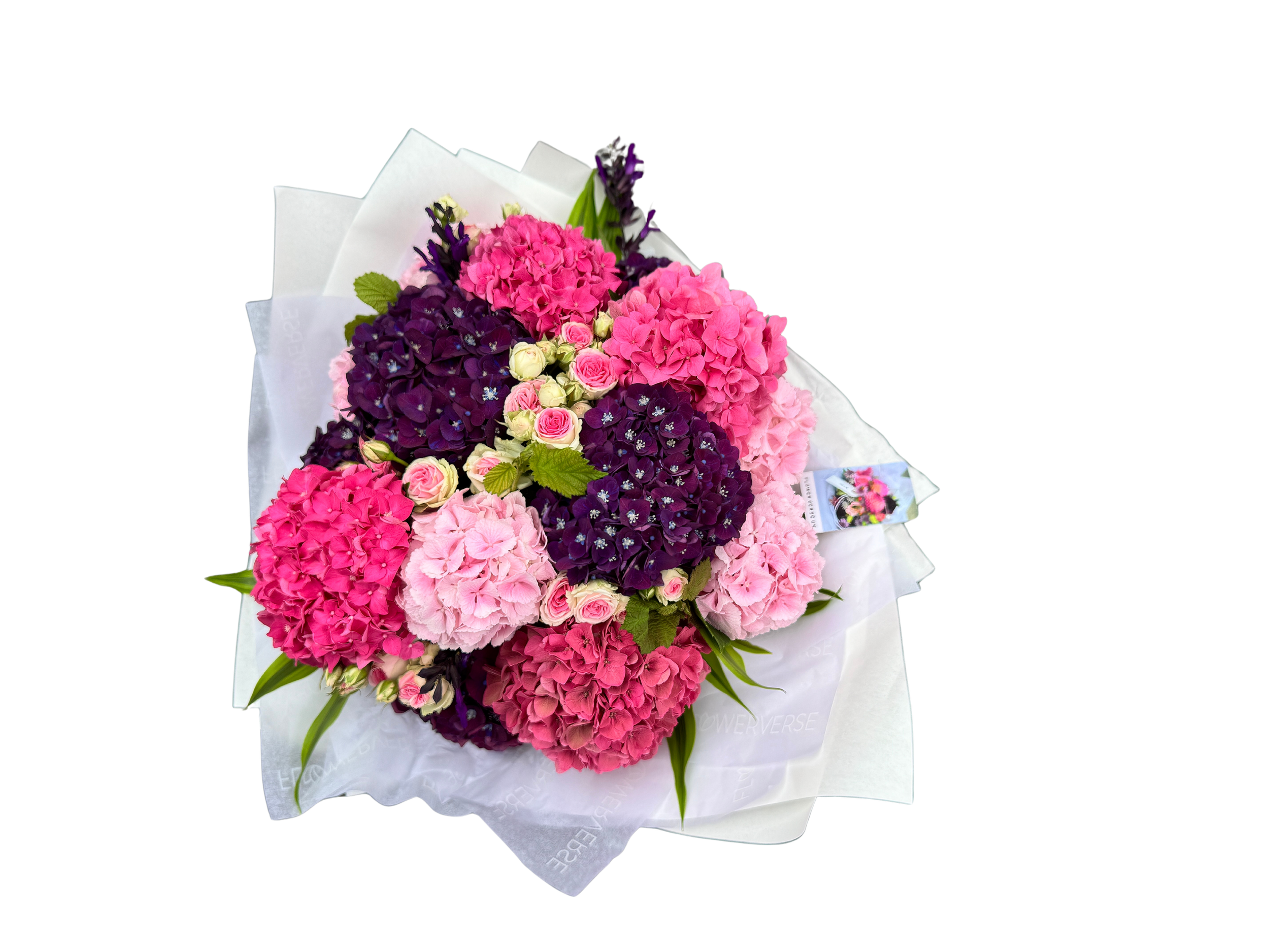 Wolfson flowerverse.png