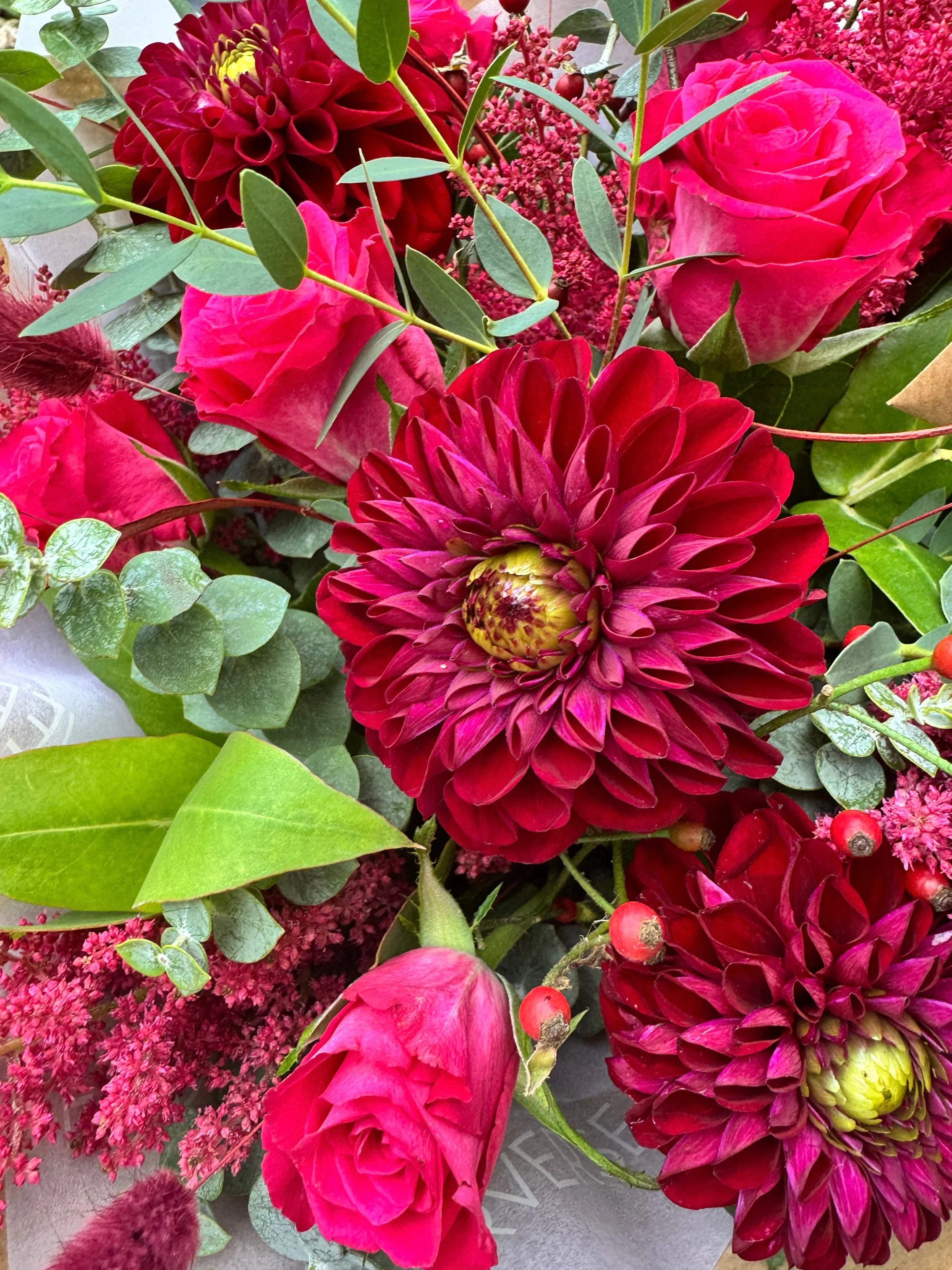 Pemberton Cerise seasonal flowerverse.jpg