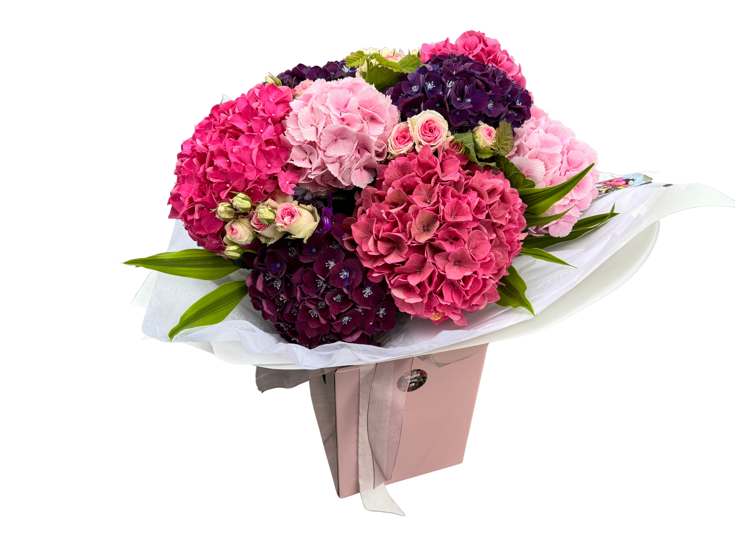 The Wolfson flowerverse.png