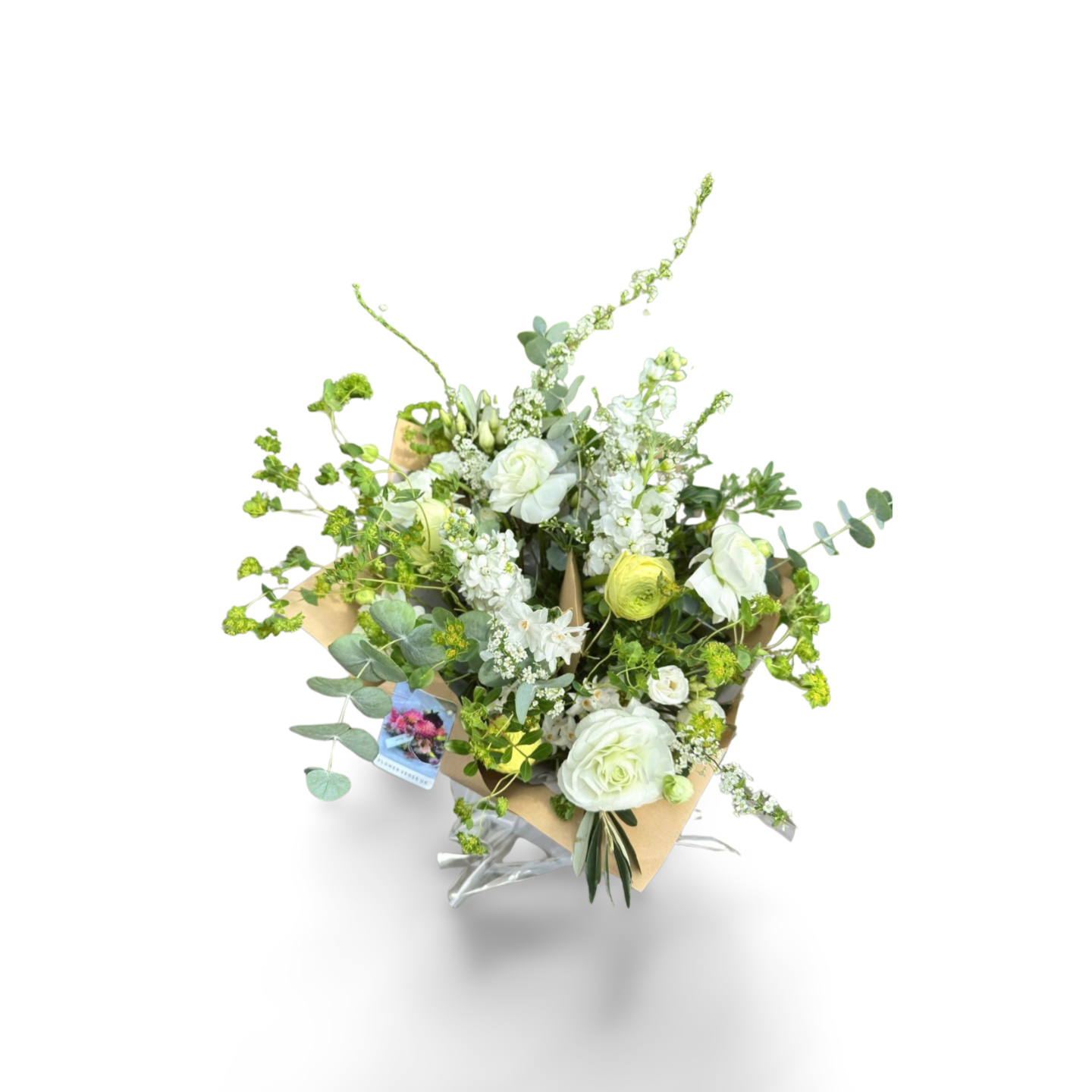 White Romanceflowerverse.png