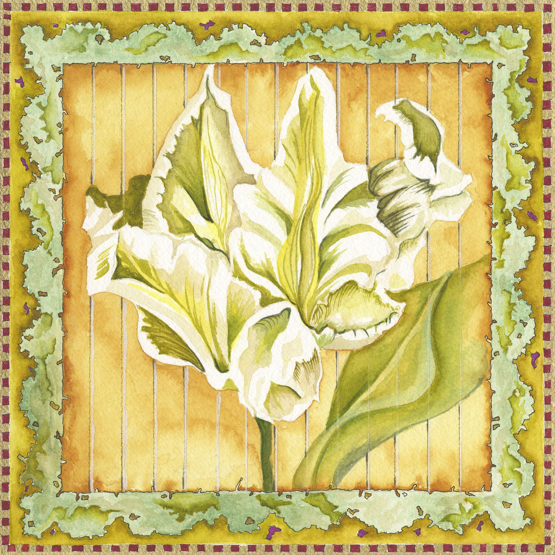 Boundaries - Tulip