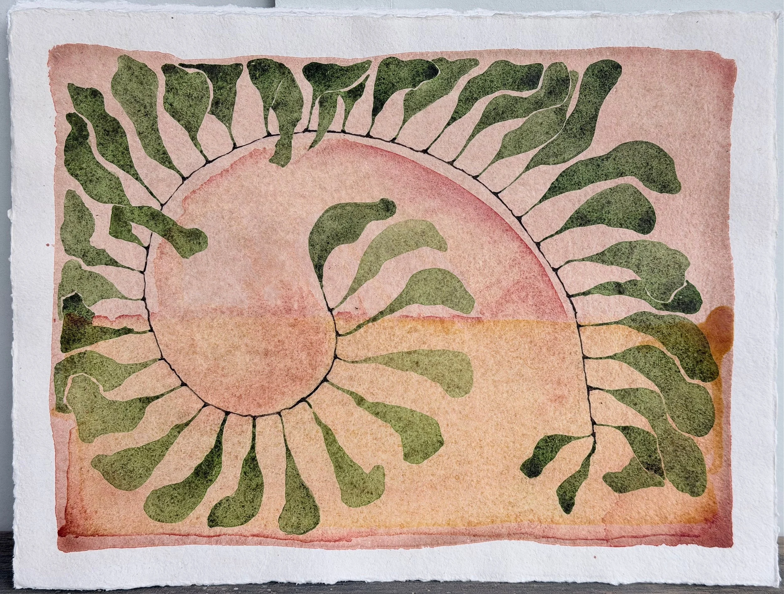 Nature's Geometry.jpg