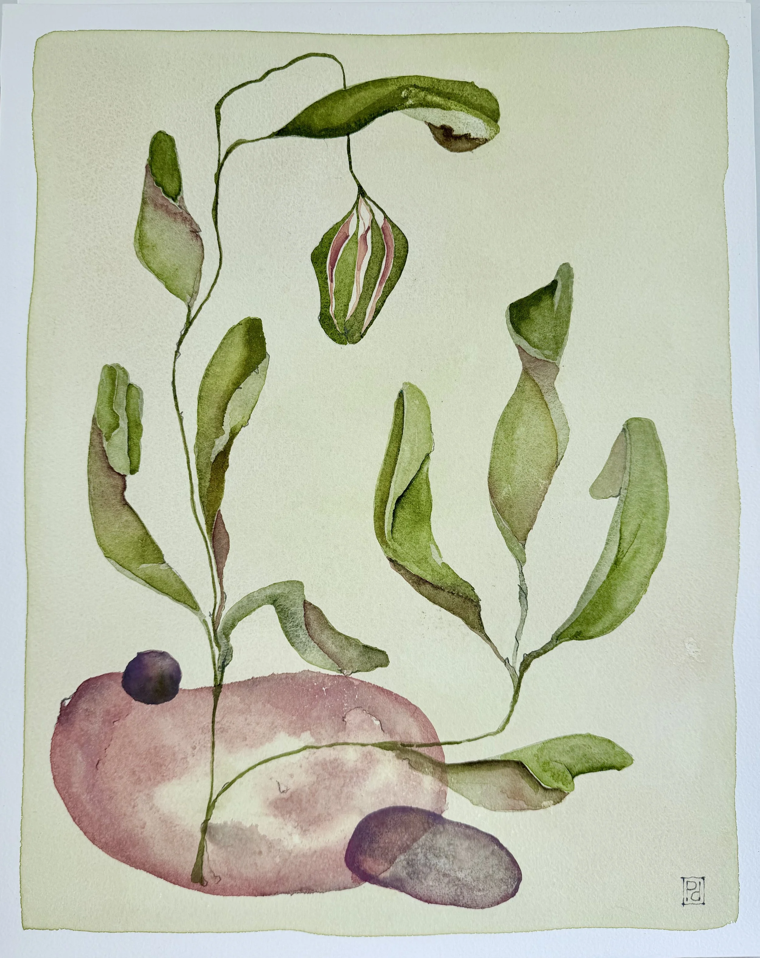 Rosy Bottom