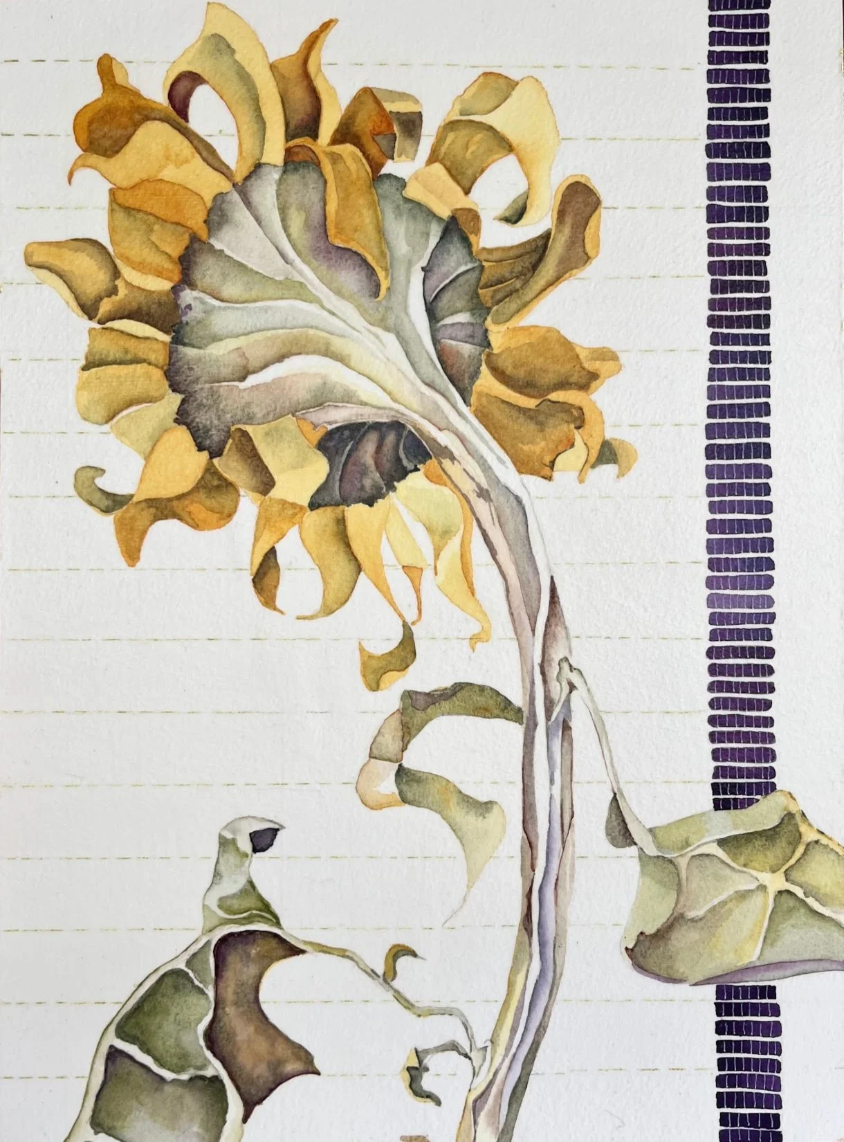 B Side A2.jpg