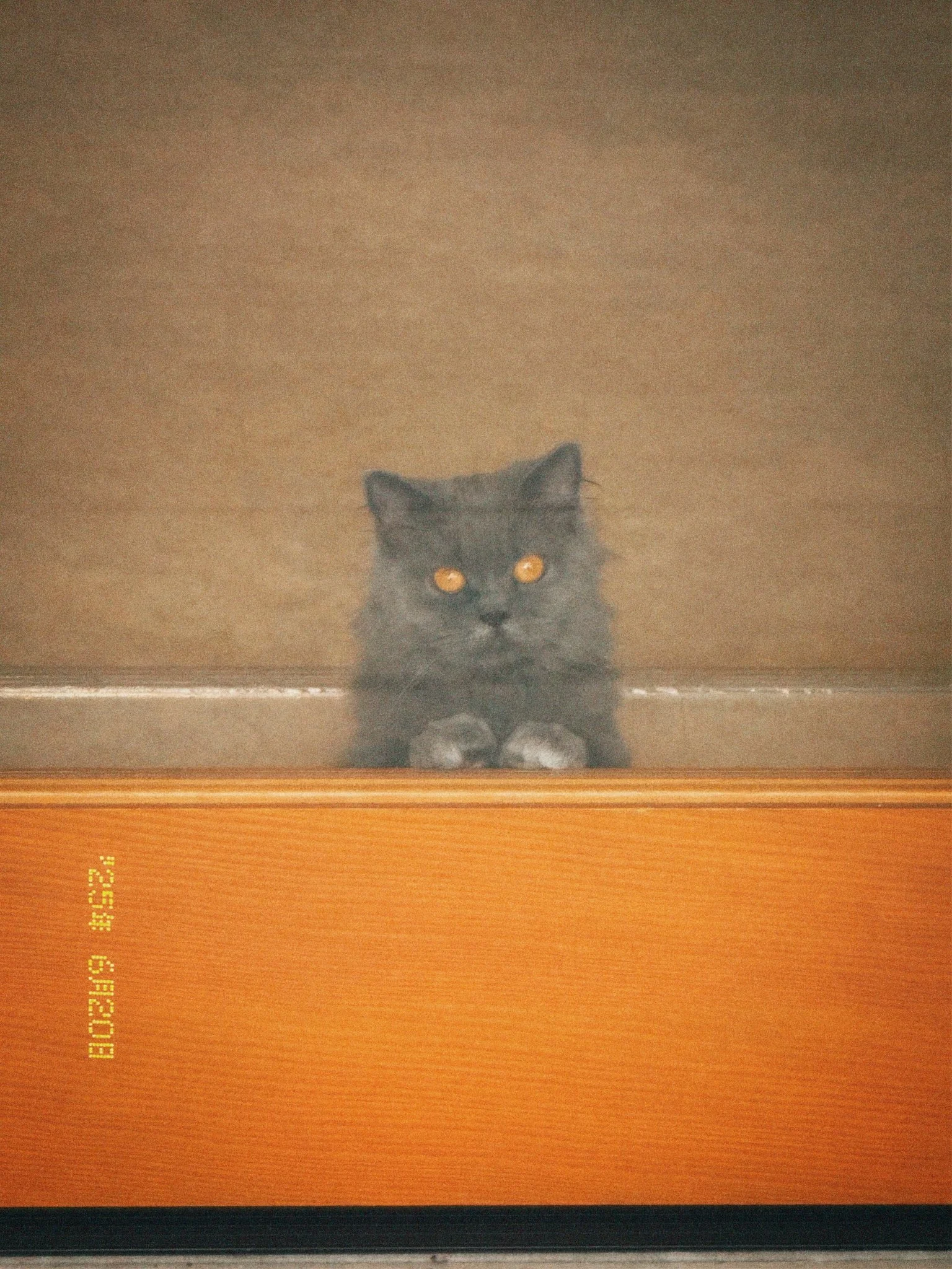 cpm35 2025-10-21 234106.939.jpg