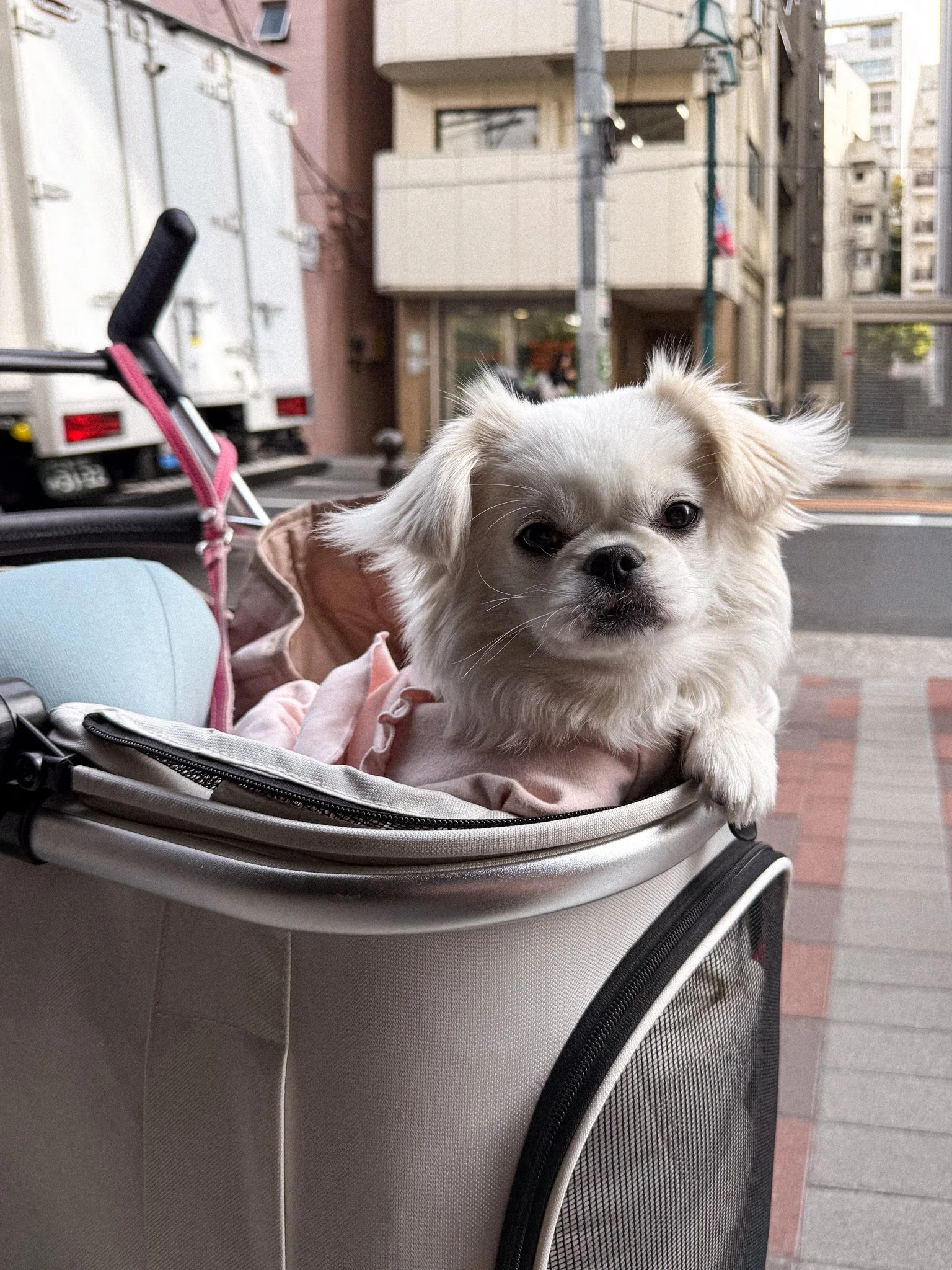 TOKYO26.jpg