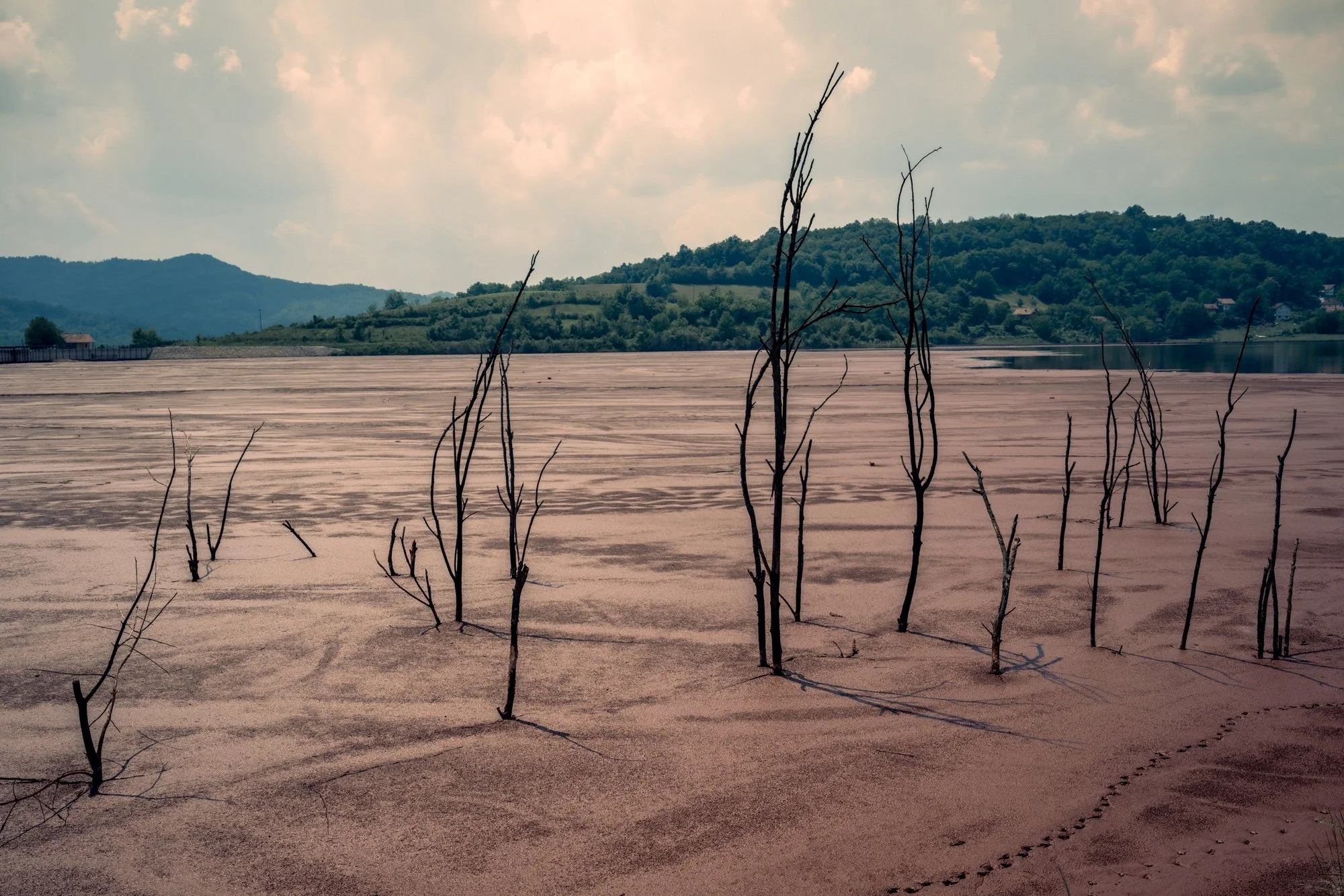 4Bauxite Tailings.jpg