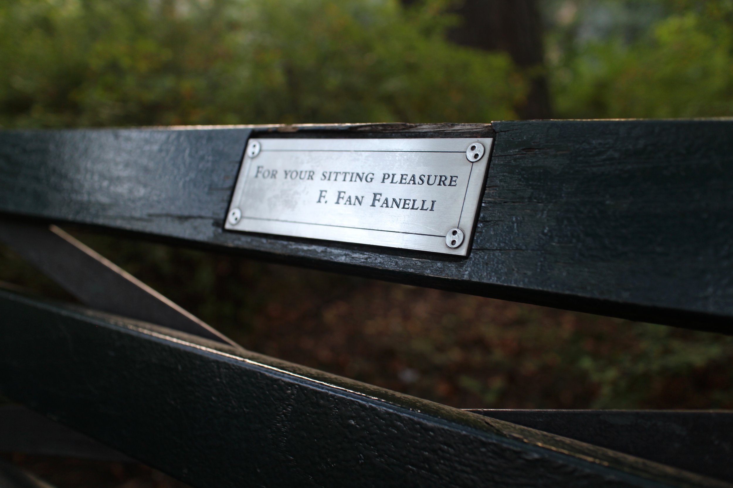 For your sitting pleasure