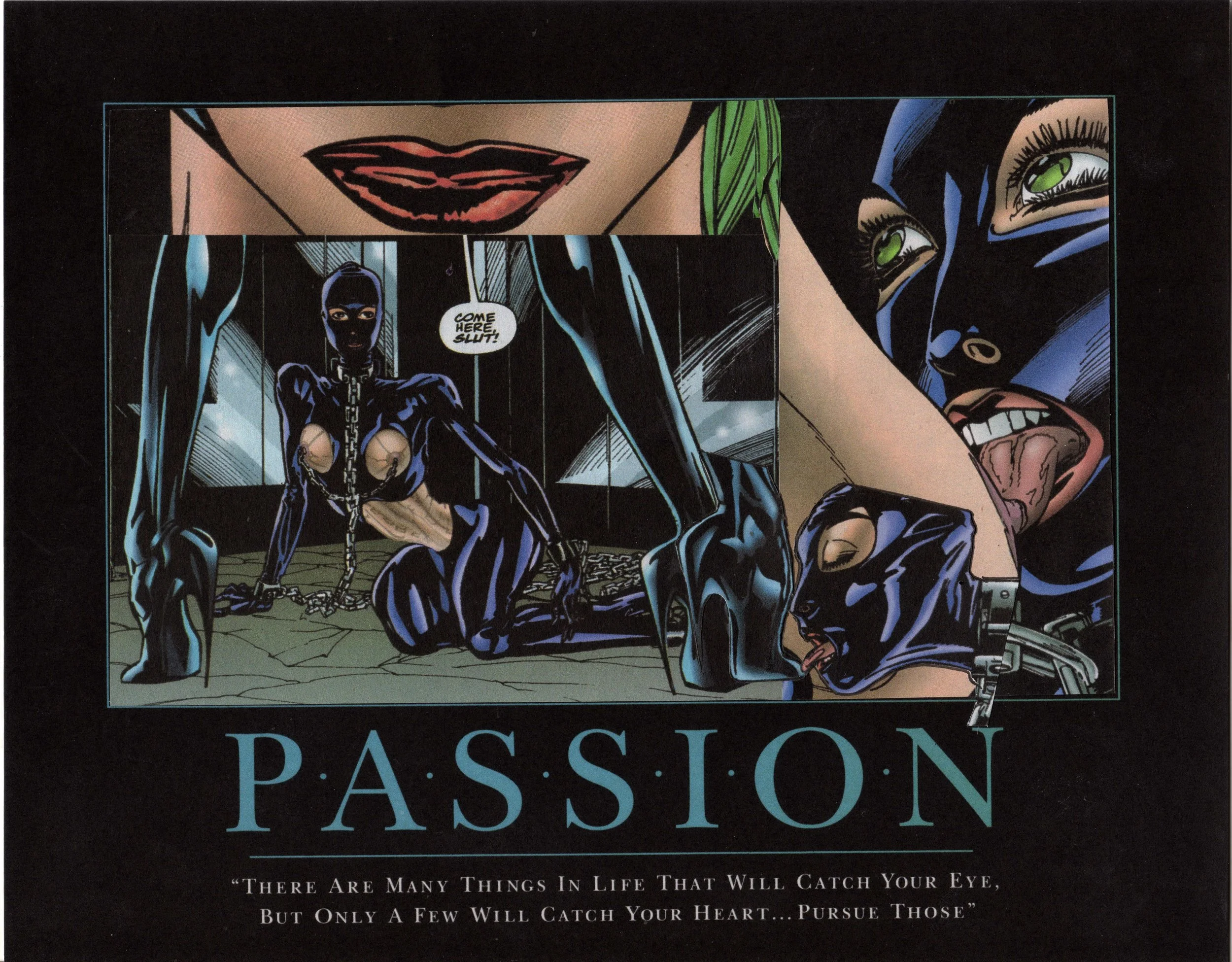 Passion v 1 low res .jpg