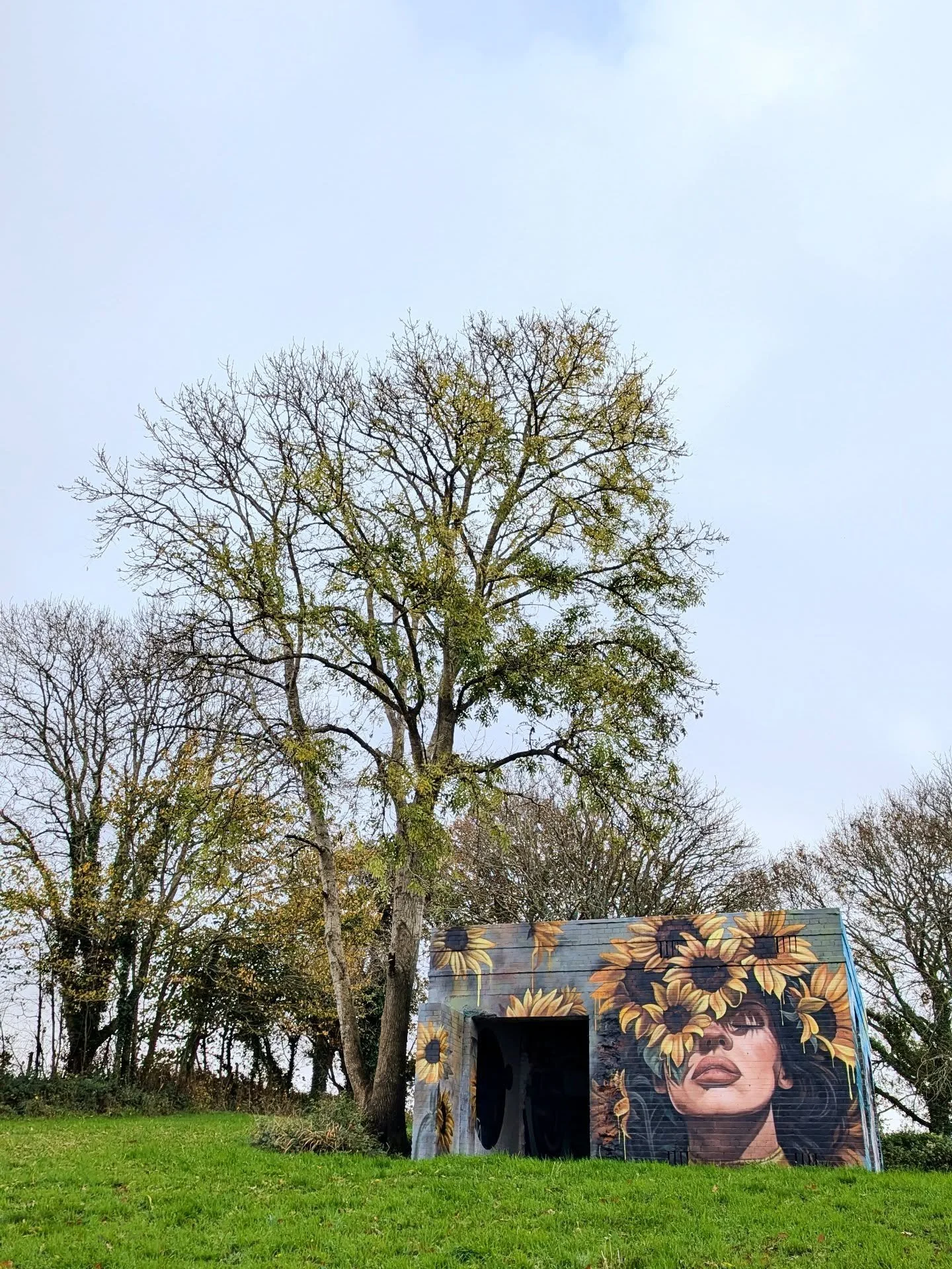 I see this and I think of friends in Ukraine. 🇺🇦 

#SlavaUkraini