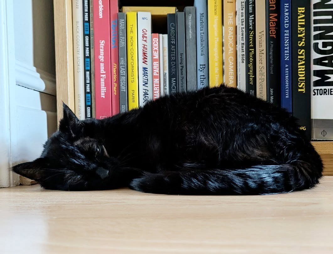 🐈&zwj;⬛❤️ I'm very fond of this cat. #InkieTheCat